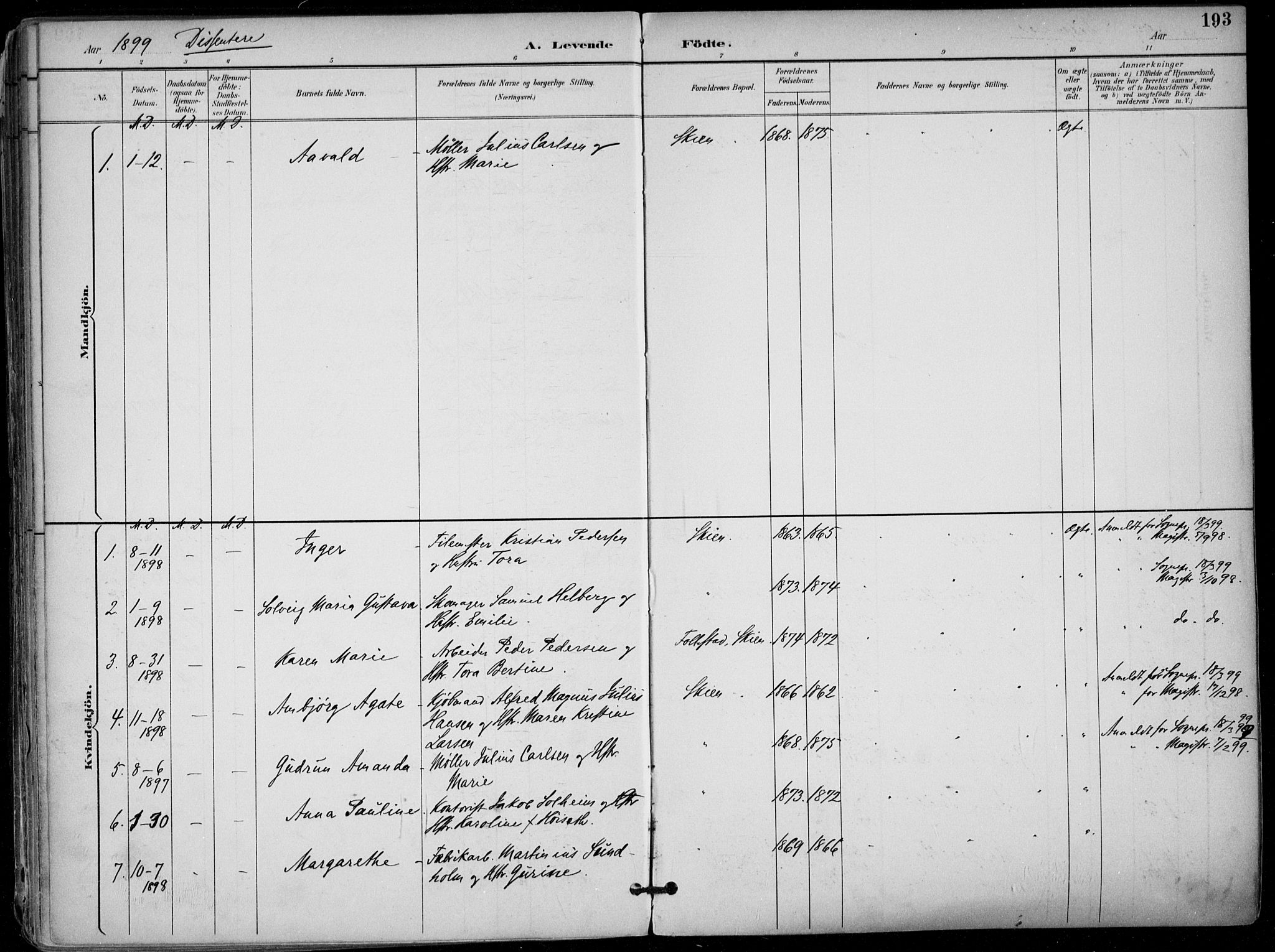 Skien kirkebøker, SAKO/A-302/F/Fa/L0010: Parish register (official) no. 10, 1891-1899, p. 193