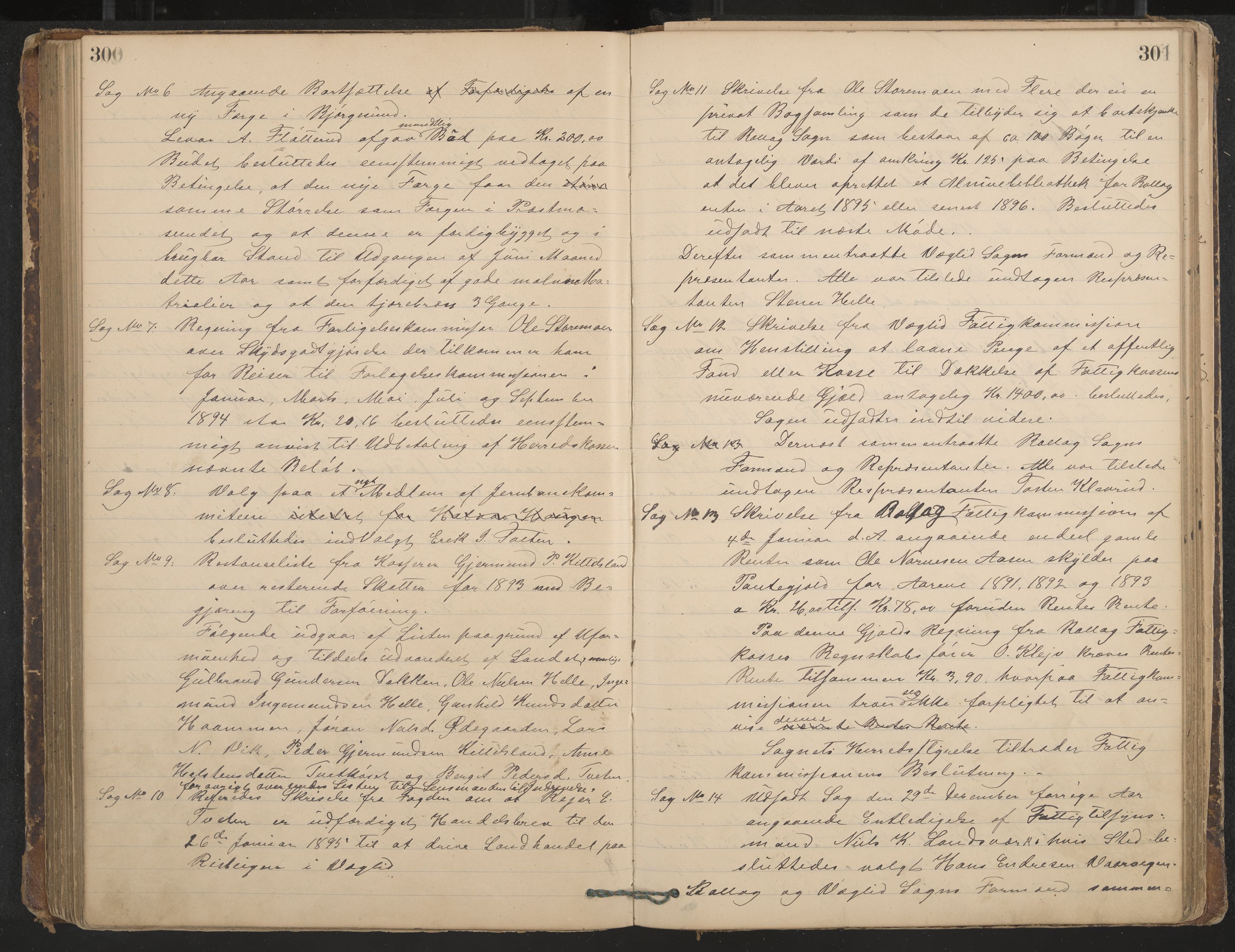 Rollag formannskap og sentraladministrasjon, IKAK/0632021-2/A/Aa/L0003: Møtebok, 1884-1897, p. 300-301