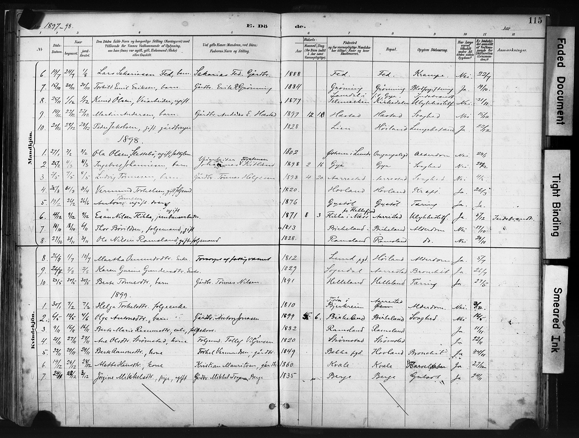 Helleland sokneprestkontor, SAST/A-101810: Parish register (official) no. A 8, 1887-1907, p. 115