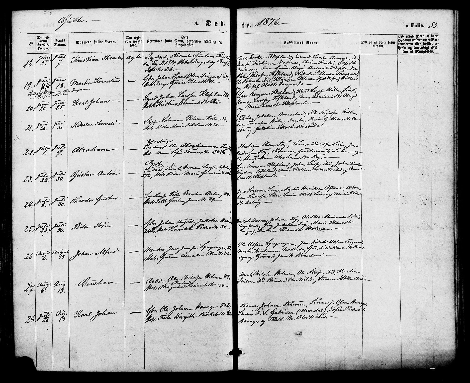 Søgne sokneprestkontor, AV/SAK-1111-0037/F/Fa/Fab/L0011: Parish register (official) no. A 11, 1869-1879, p. 53