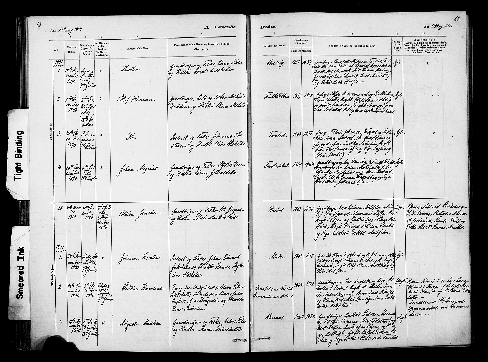 Ministerialprotokoller, klokkerbøker og fødselsregistre - Møre og Romsdal, AV/SAT-A-1454/567/L0778: Parish register (official) no. 567A01, 1881-1903, p. 68