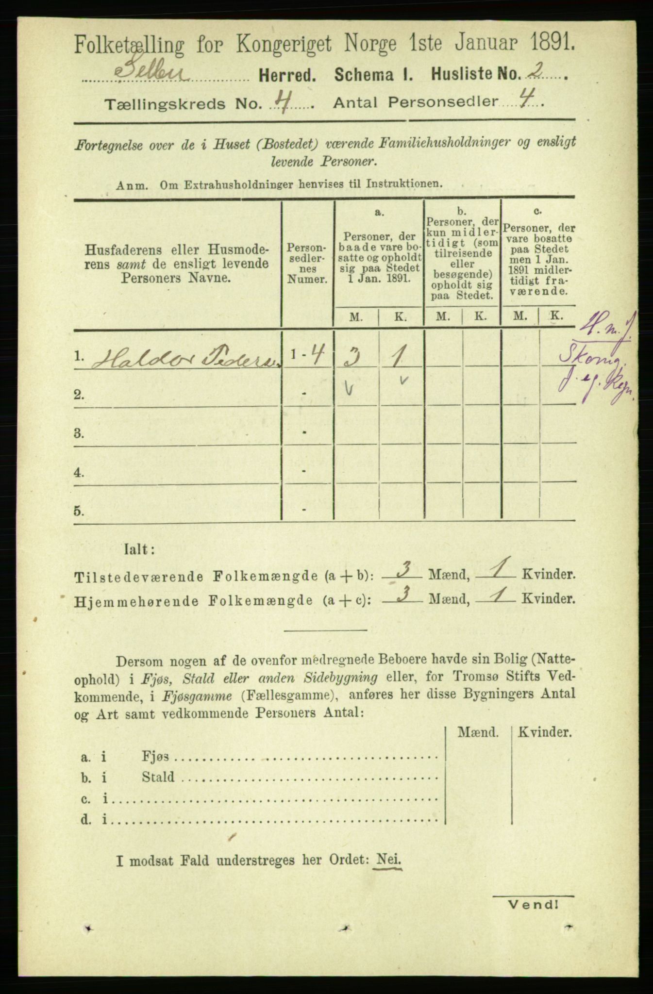 RA, 1891 census for 1664 Selbu, 1891, p. 962