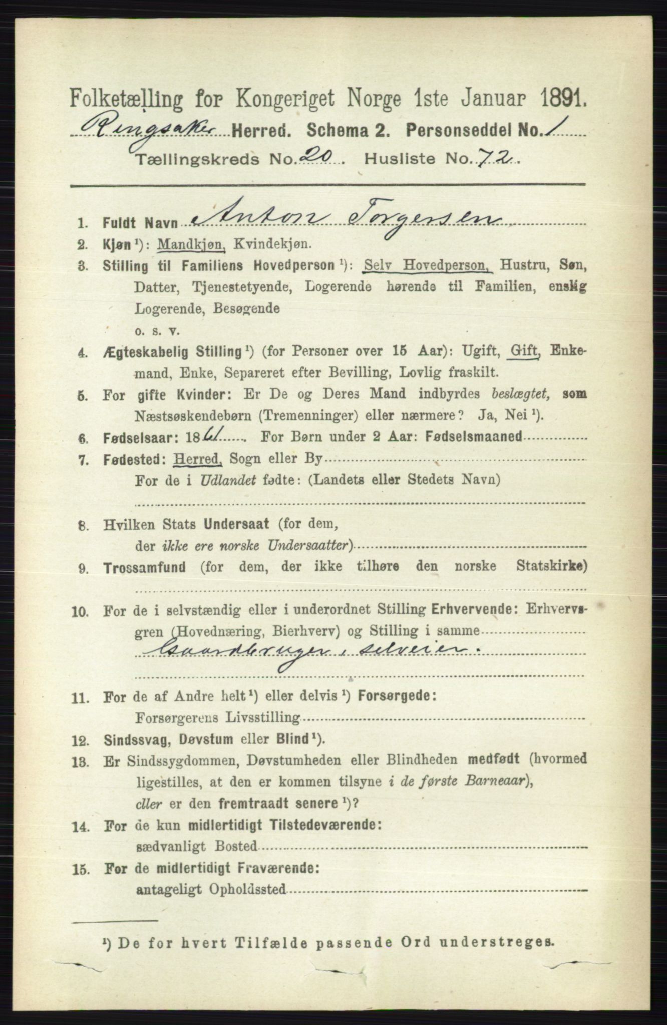 RA, 1891 census for 0412 Ringsaker, 1891, p. 11564