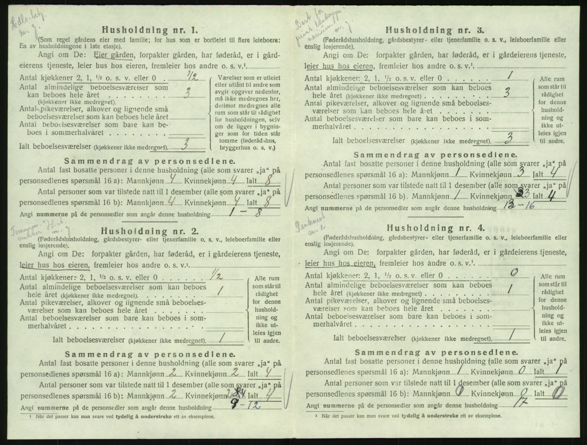 SAK, 1920 census for Hornnes, 1920, p. 306