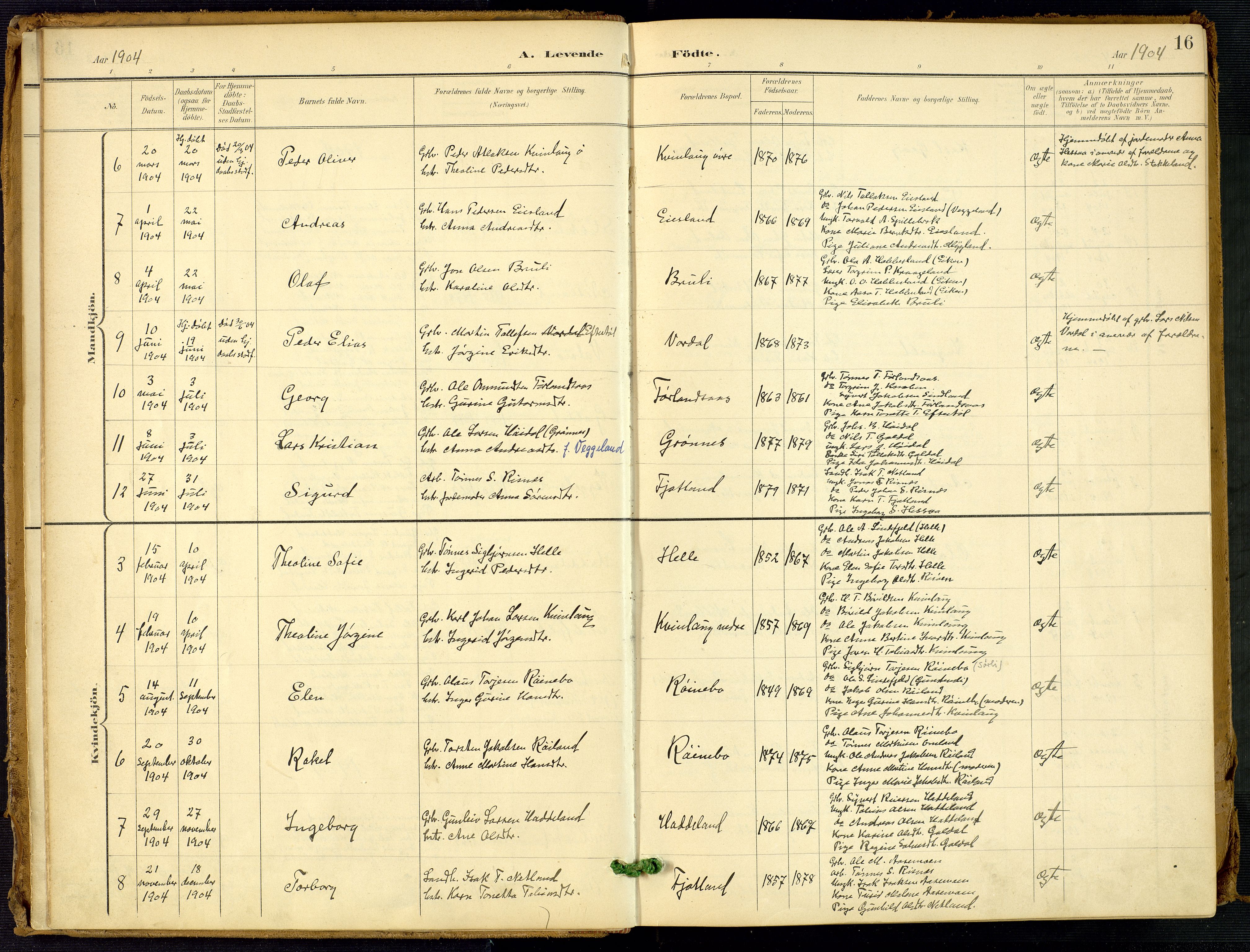 Fjotland sokneprestkontor, AV/SAK-1111-0010/F/Fa/L0003: Parish register (official) no. A 3, 1899-1917, p. 16