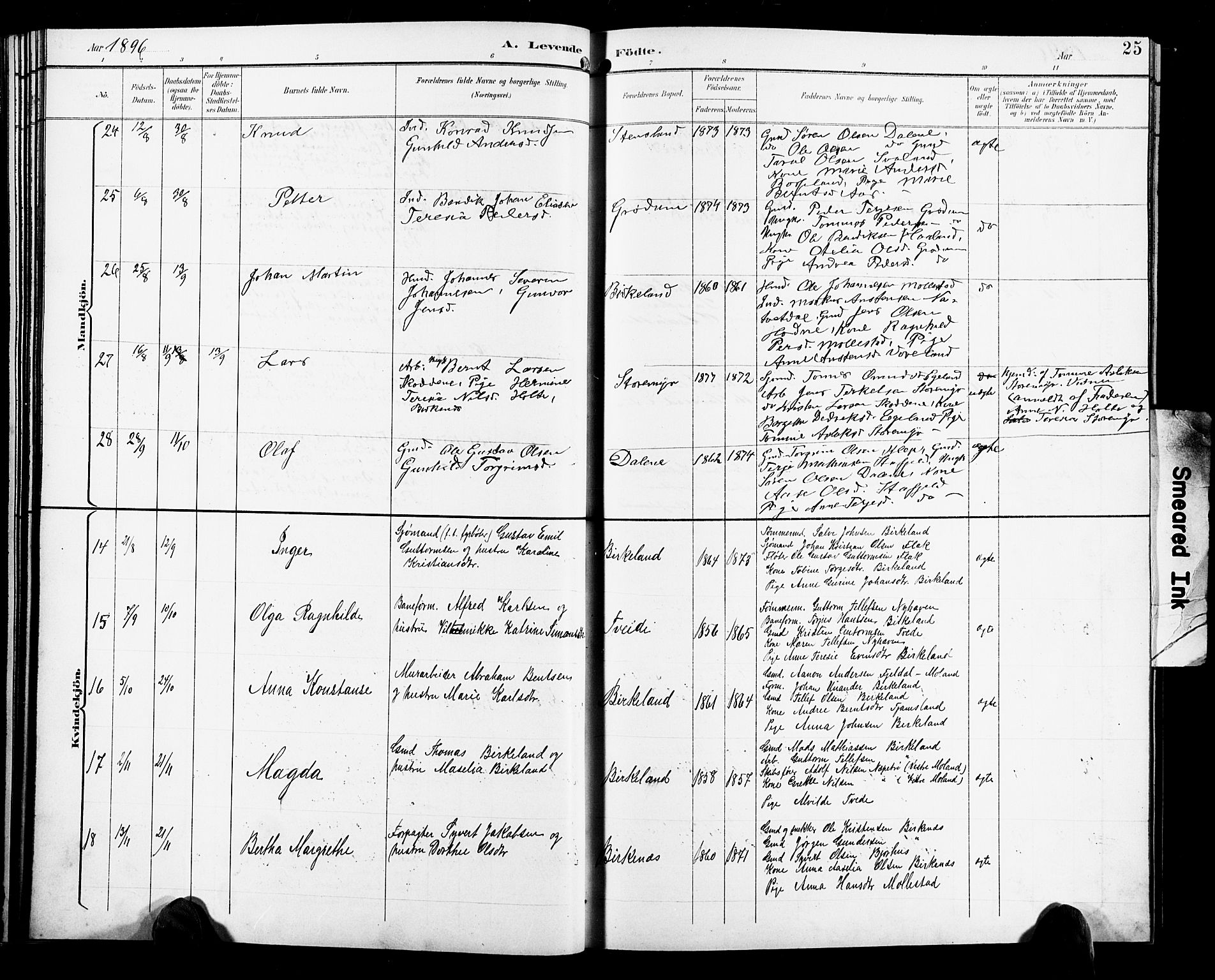 Birkenes sokneprestkontor, AV/SAK-1111-0004/F/Fb/L0004: Parish register (copy) no. B 4, 1893-1930, p. 25