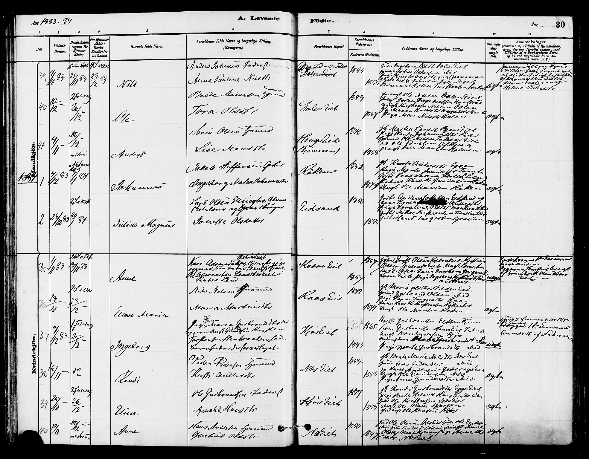Gran prestekontor, SAH/PREST-112/H/Ha/Haa/L0015: Parish register (official) no. 15, 1880-1888, p. 30