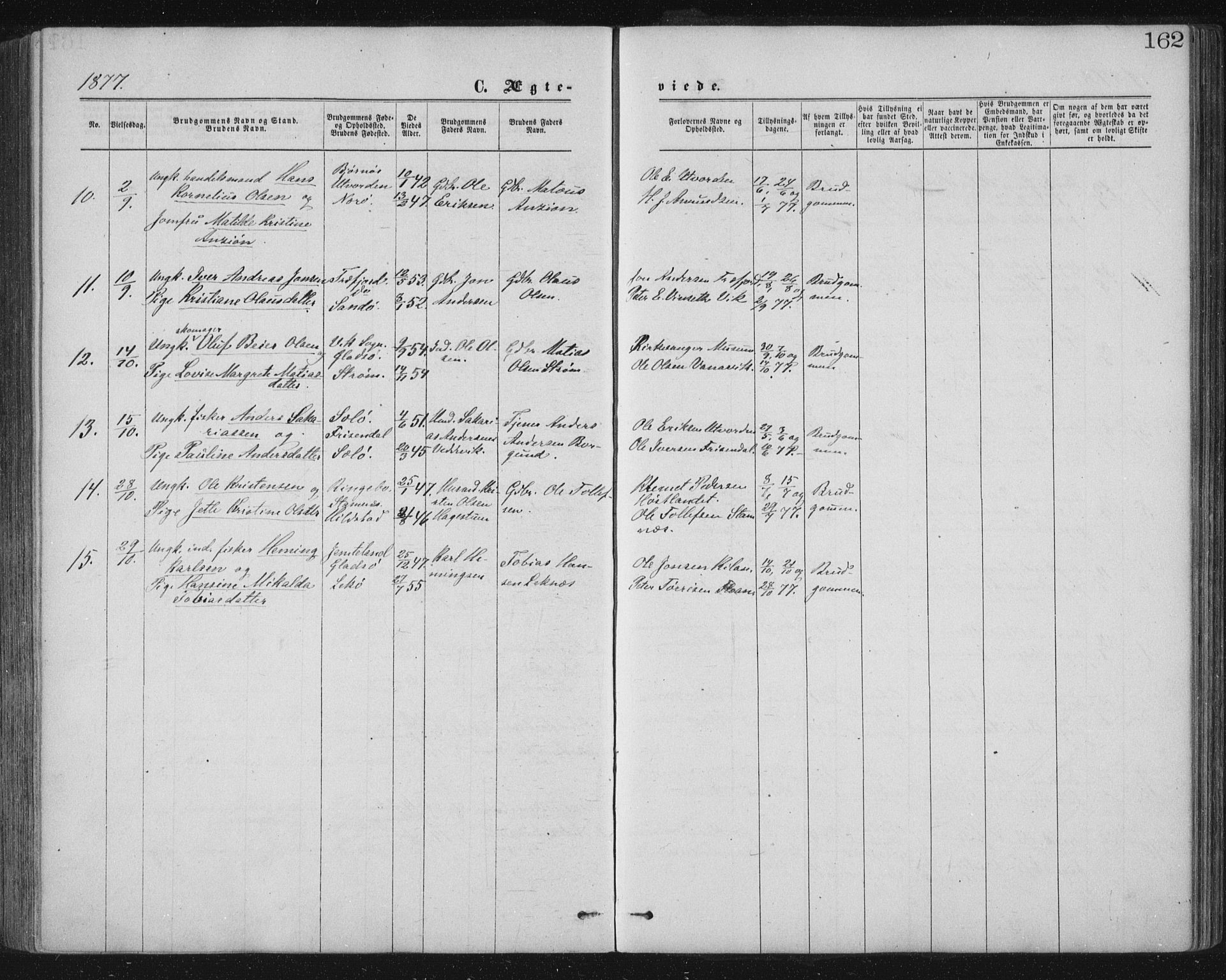 Ministerialprotokoller, klokkerbøker og fødselsregistre - Nord-Trøndelag, AV/SAT-A-1458/771/L0596: Parish register (official) no. 771A03, 1870-1884, p. 162