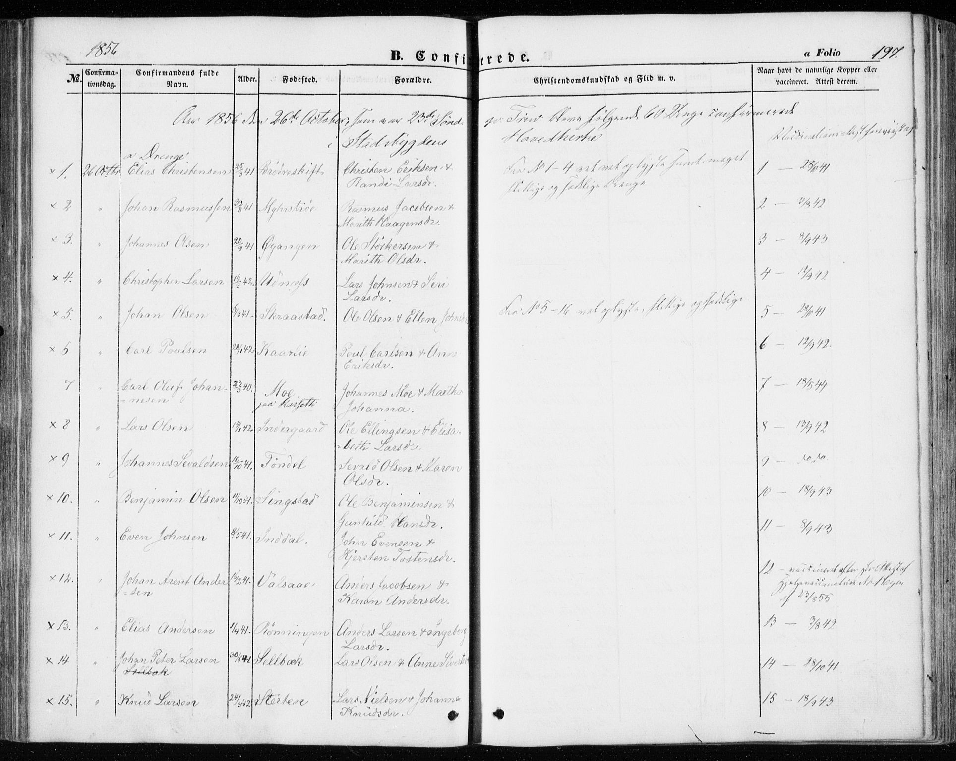 Ministerialprotokoller, klokkerbøker og fødselsregistre - Sør-Trøndelag, AV/SAT-A-1456/646/L0611: Parish register (official) no. 646A09, 1848-1857, p. 197