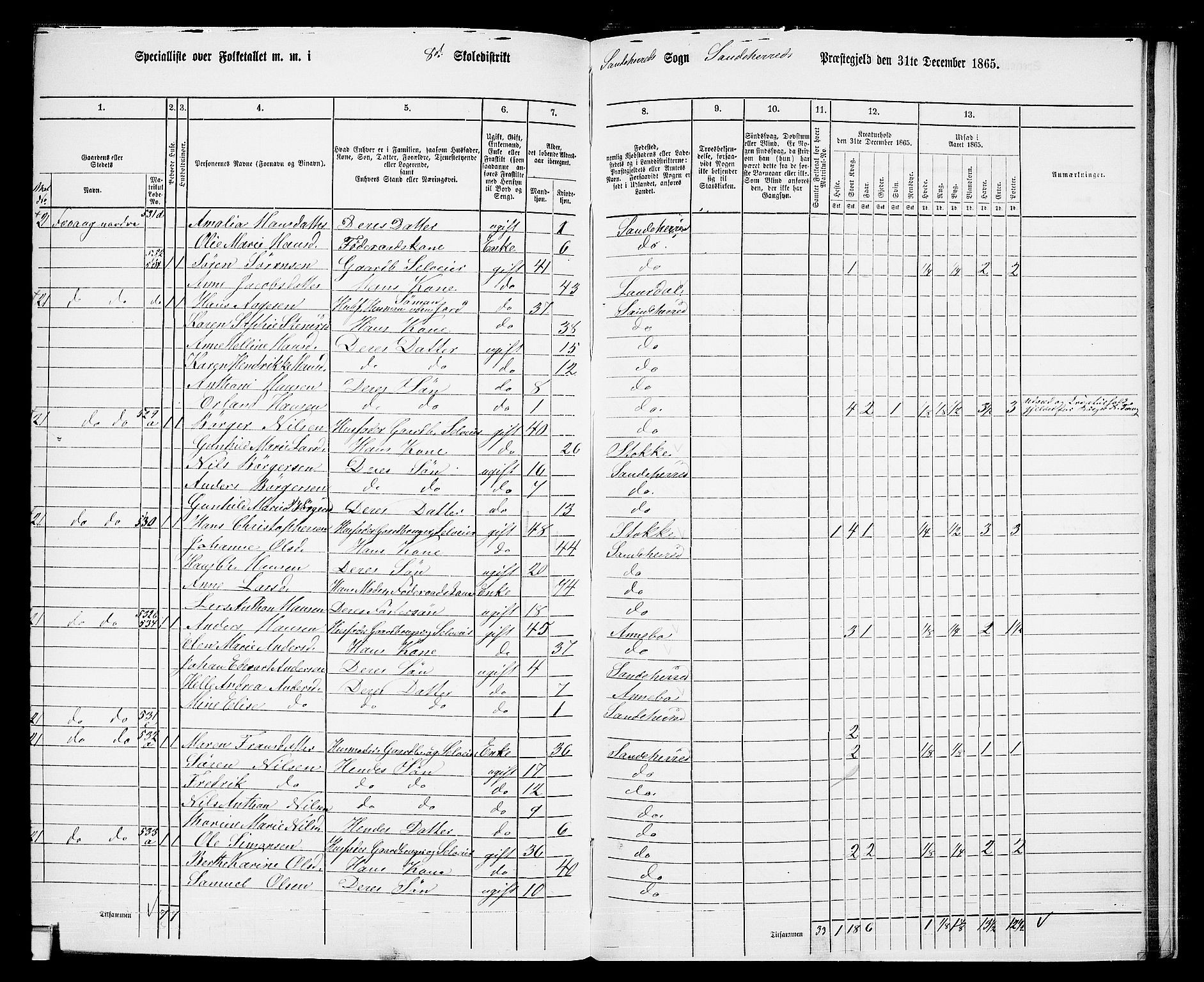 RA, 1865 census for Sandeherred/Sandeherred, 1865, p. 207