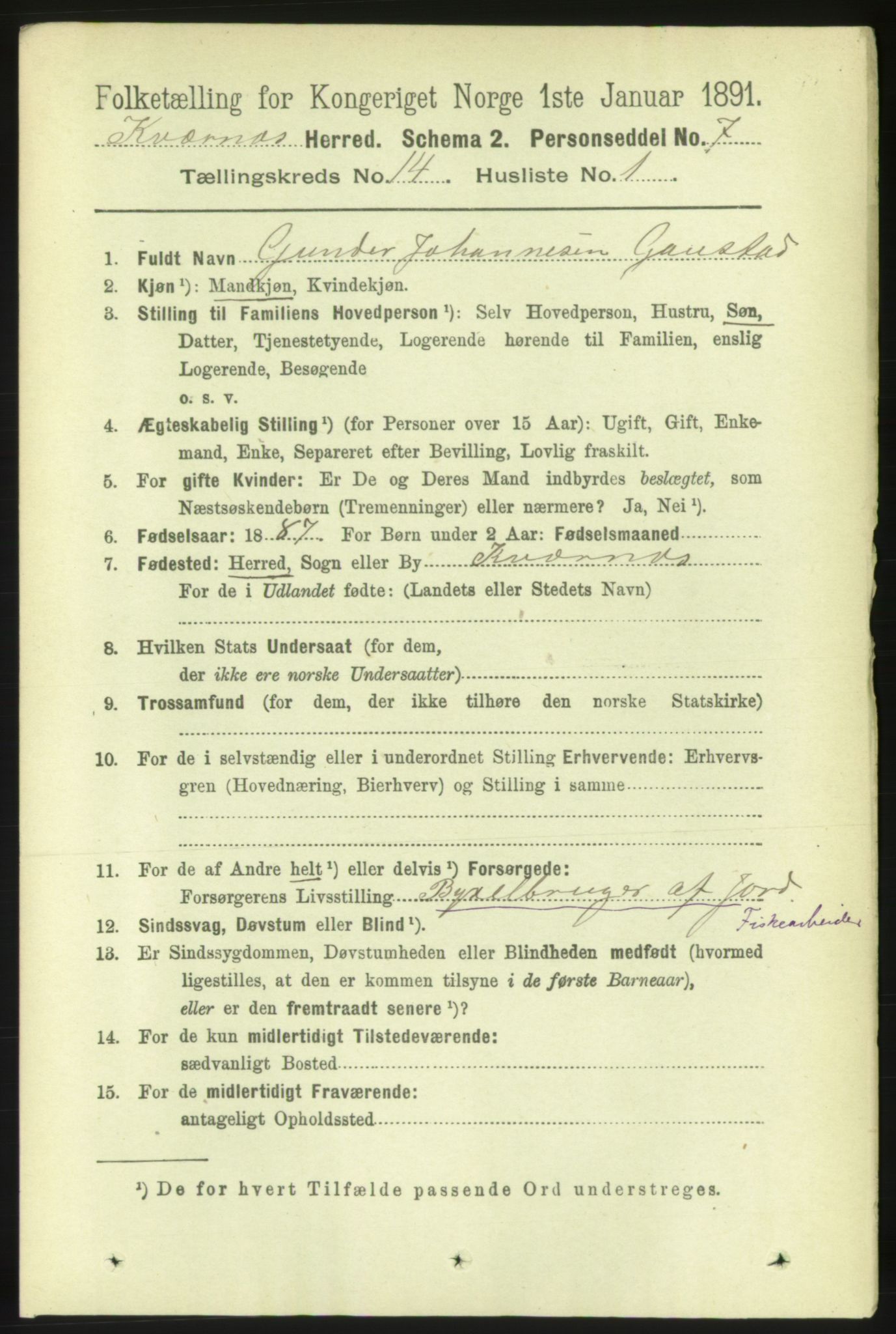 RA, 1891 census for 1553 Kvernes, 1891, p. 5728