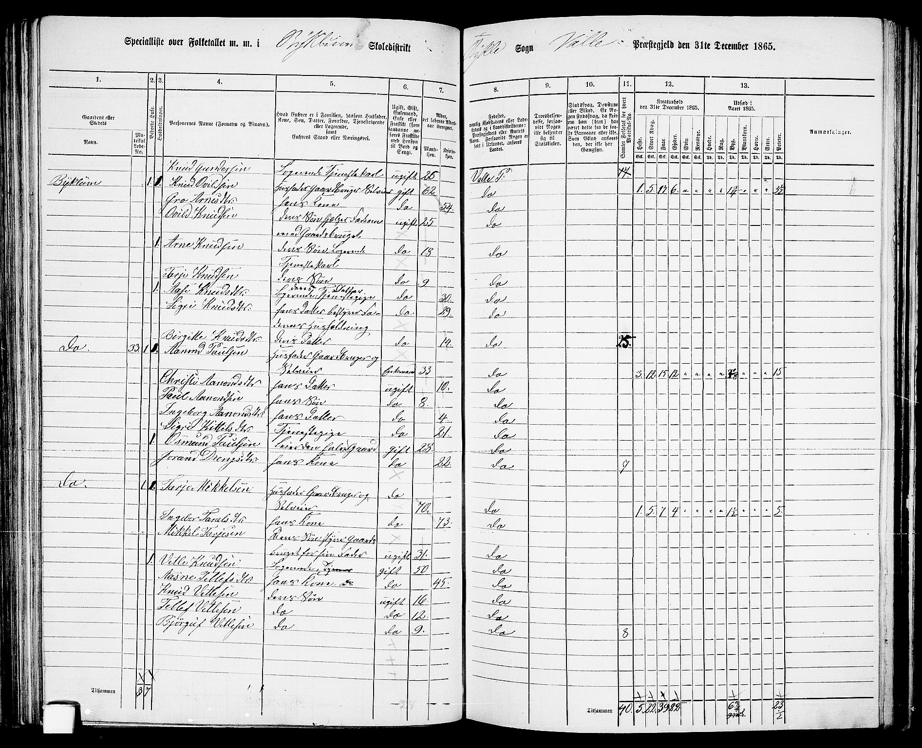 RA, 1865 census for Valle, 1865, p. 84