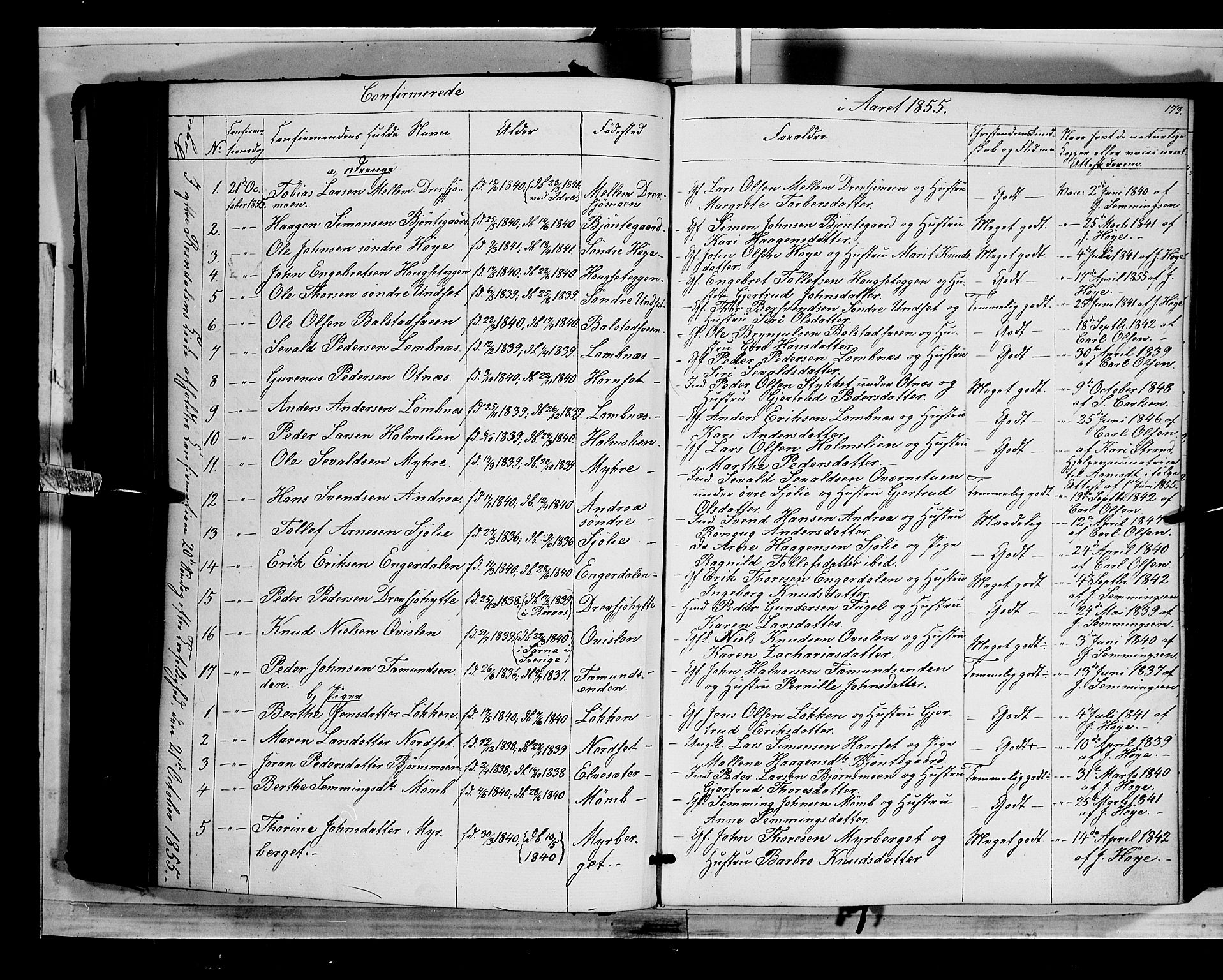 Rendalen prestekontor, SAH/PREST-054/H/Ha/Haa/L0005: Parish register (official) no. 5, 1853-1866, p. 173