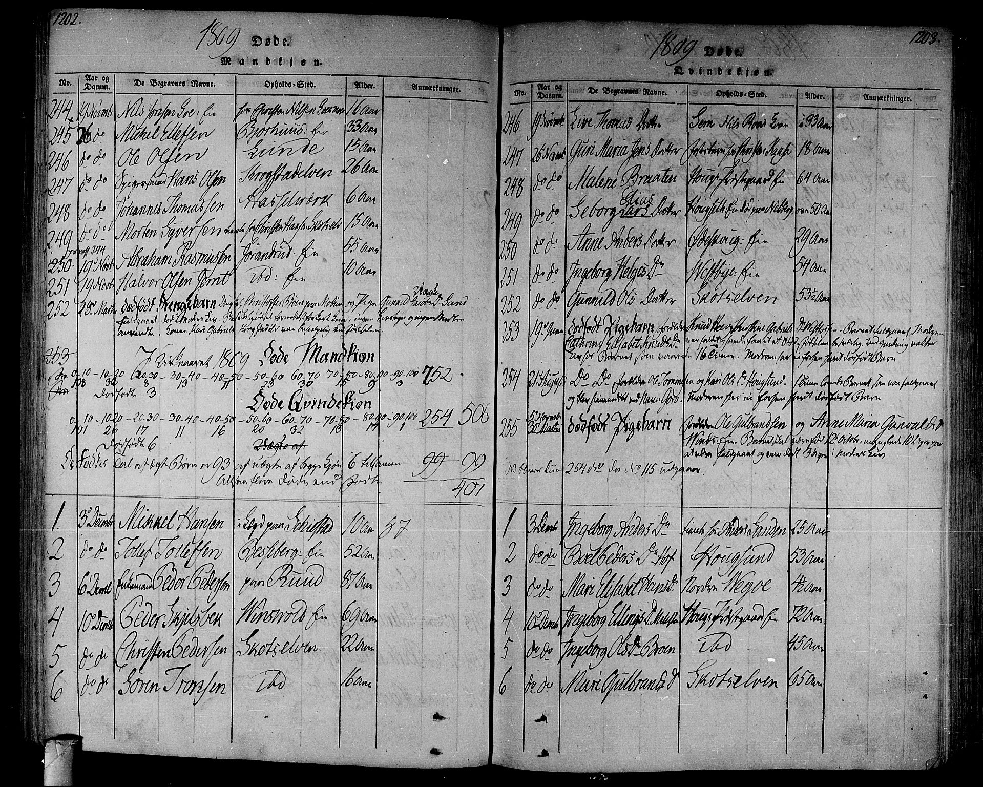 Eiker kirkebøker, AV/SAKO-A-4/F/Fa/L0010: Parish register (official) no. I 10, 1806-1815, p. 1202-1203