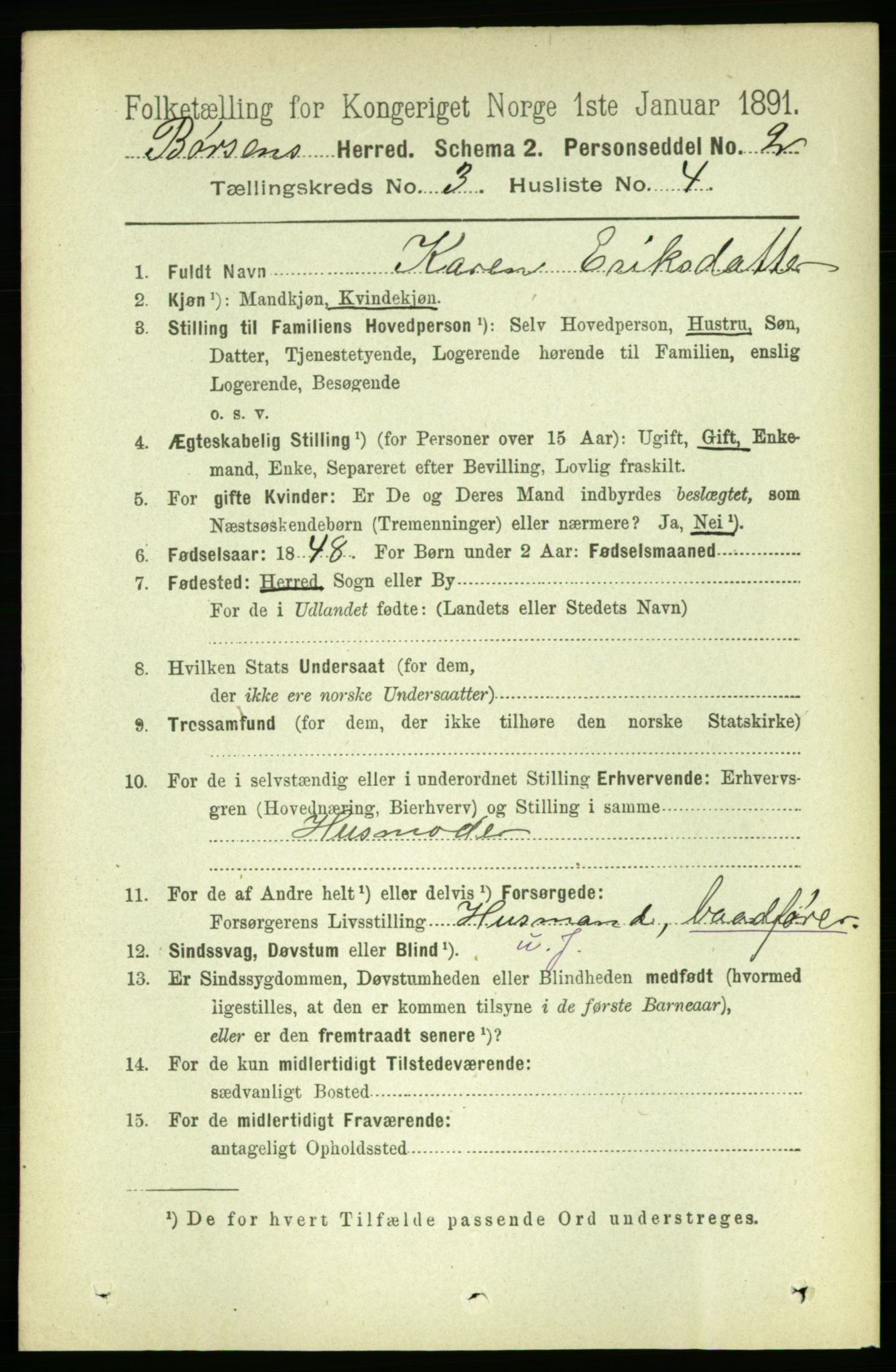 RA, 1891 census for 1658 Børsa, 1891, p. 889