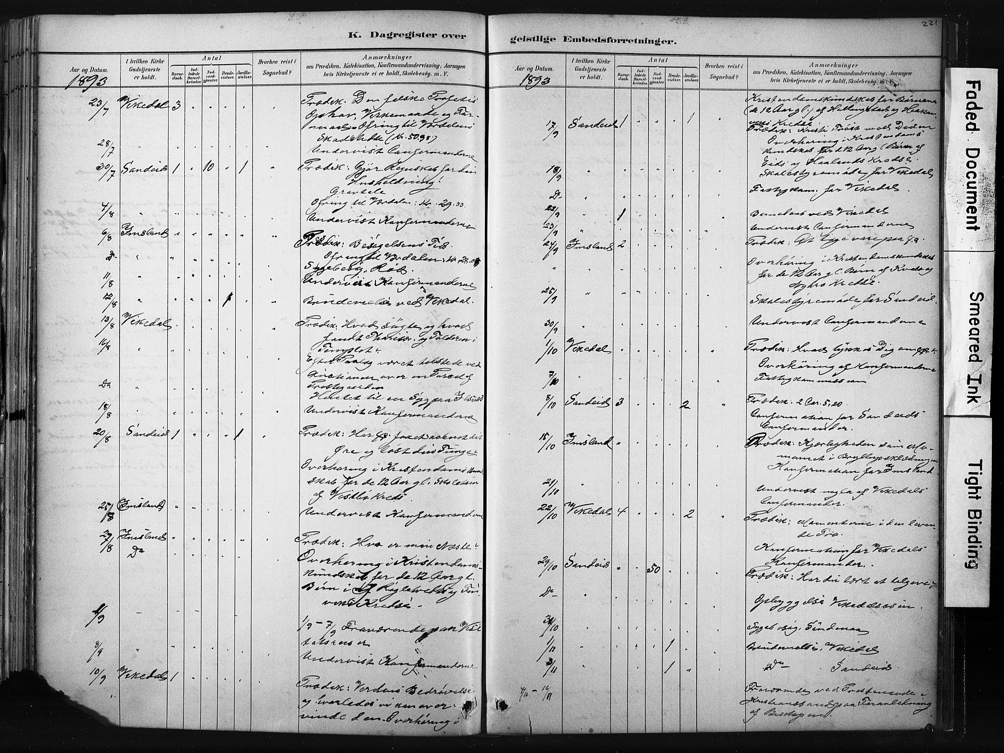 Vikedal sokneprestkontor, AV/SAST-A-101840/01/IV: Parish register (official) no. A 10, 1884-1907, p. 221