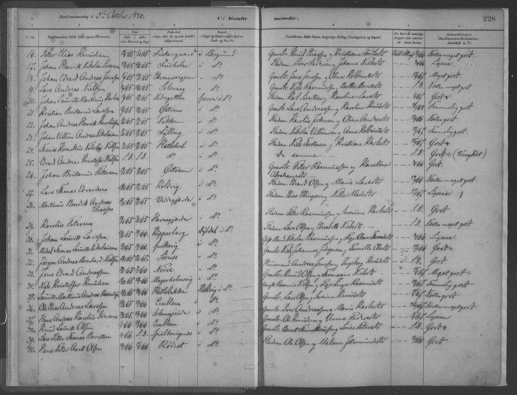 Ministerialprotokoller, klokkerbøker og fødselsregistre - Møre og Romsdal, AV/SAT-A-1454/528/L0402: Parish register (official) no. 528A12II, 1880-1903, p. 228