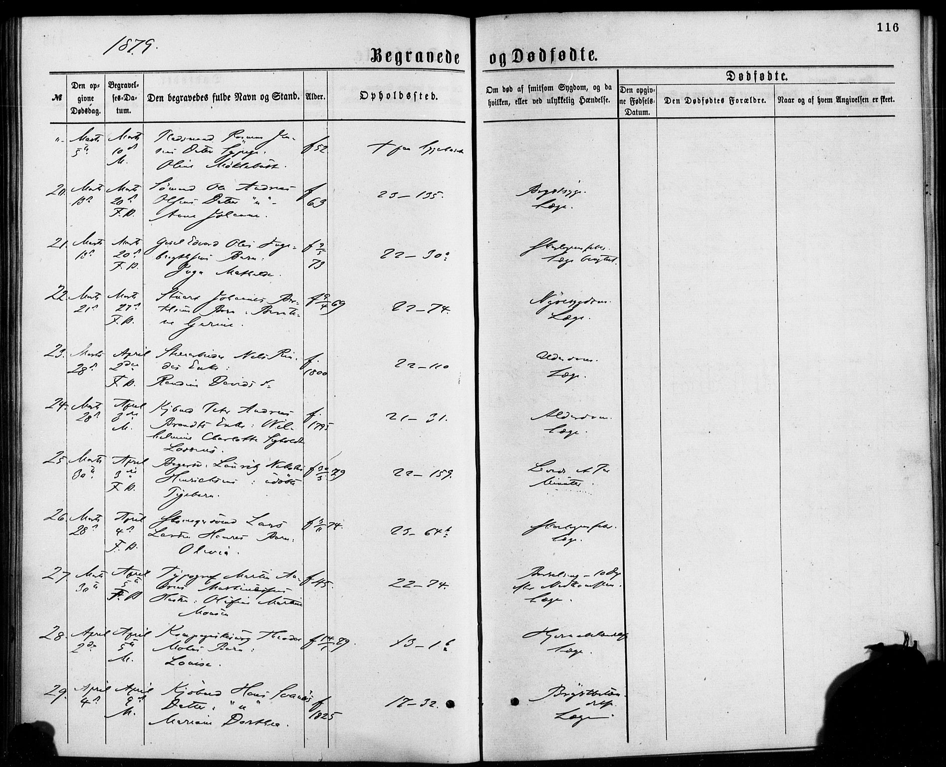 Korskirken sokneprestembete, SAB/A-76101/H/Haa/L0046: Parish register (official) no. E 4, 1875-1883, p. 116