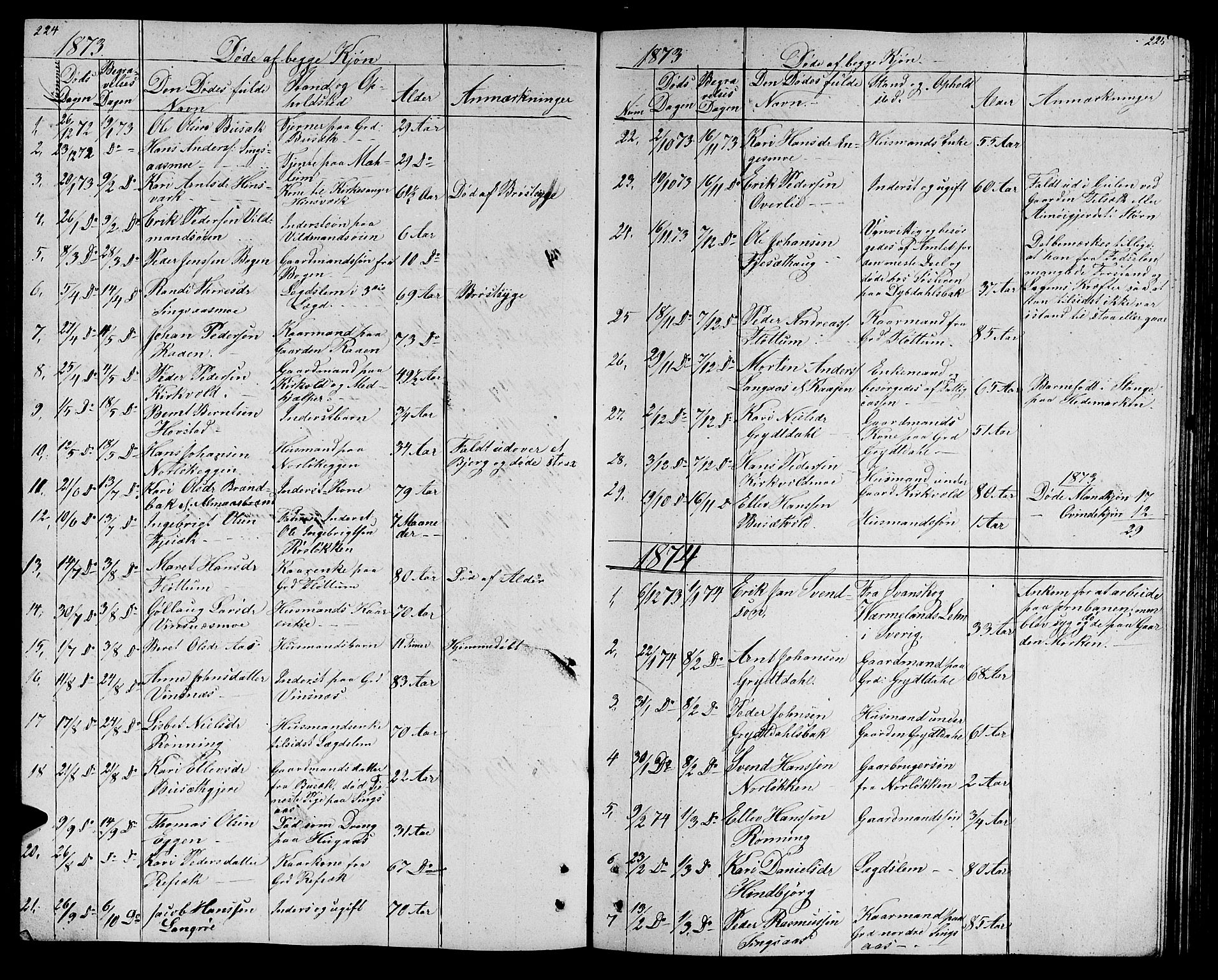 Ministerialprotokoller, klokkerbøker og fødselsregistre - Sør-Trøndelag, AV/SAT-A-1456/688/L1027: Parish register (copy) no. 688C02, 1861-1889, p. 224-225