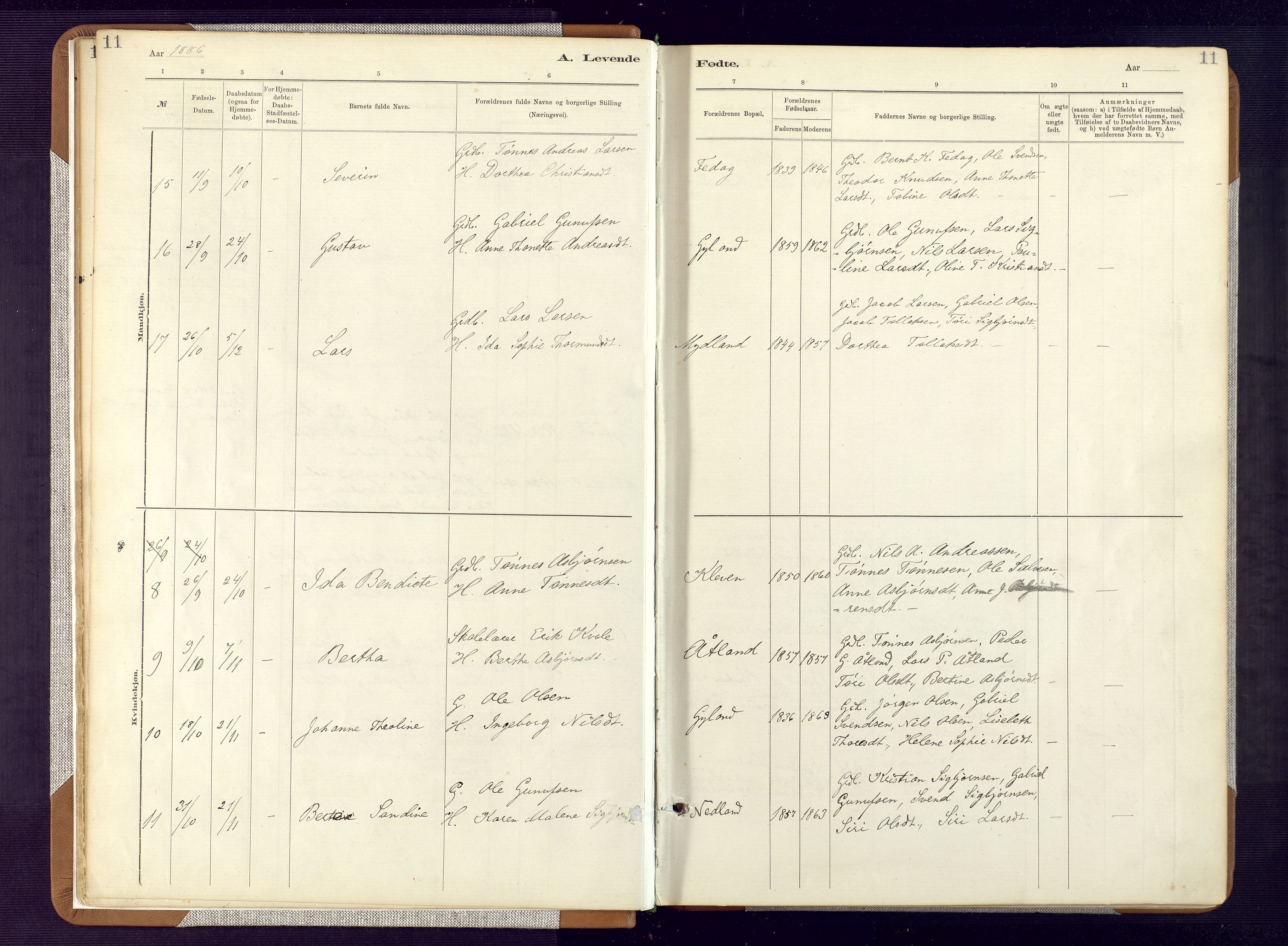 Bakke sokneprestkontor, AV/SAK-1111-0002/F/Fa/Fab/L0003: Parish register (official) no. A 3, 1884-1921, p. 11