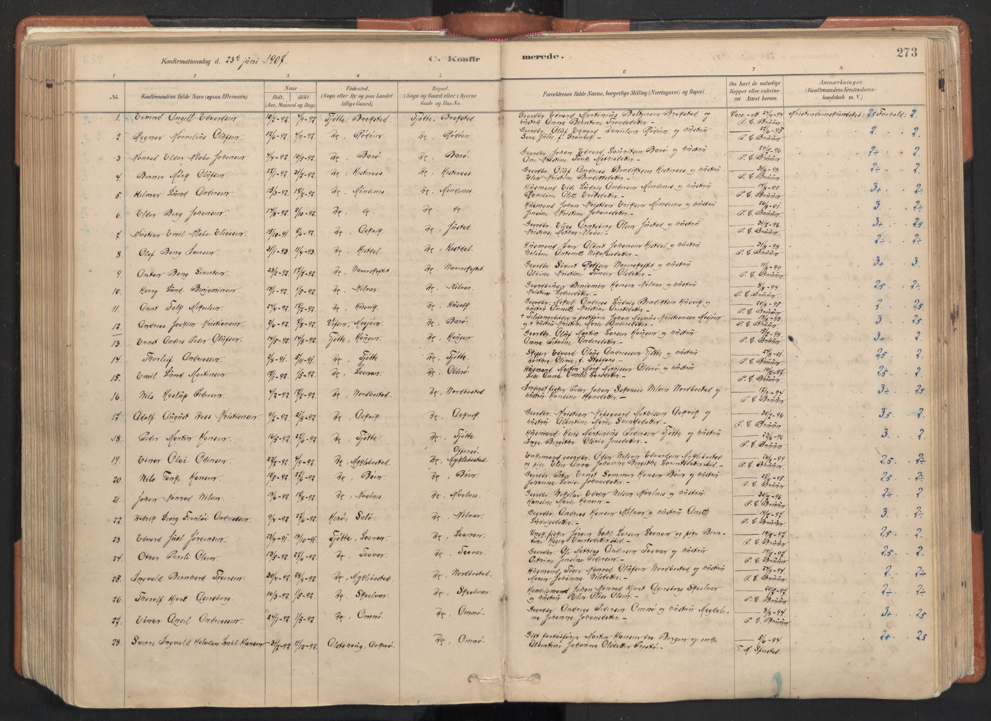 Ministerialprotokoller, klokkerbøker og fødselsregistre - Nordland, SAT/A-1459/817/L0264: Parish register (official) no. 817A04, 1878-1907, p. 273