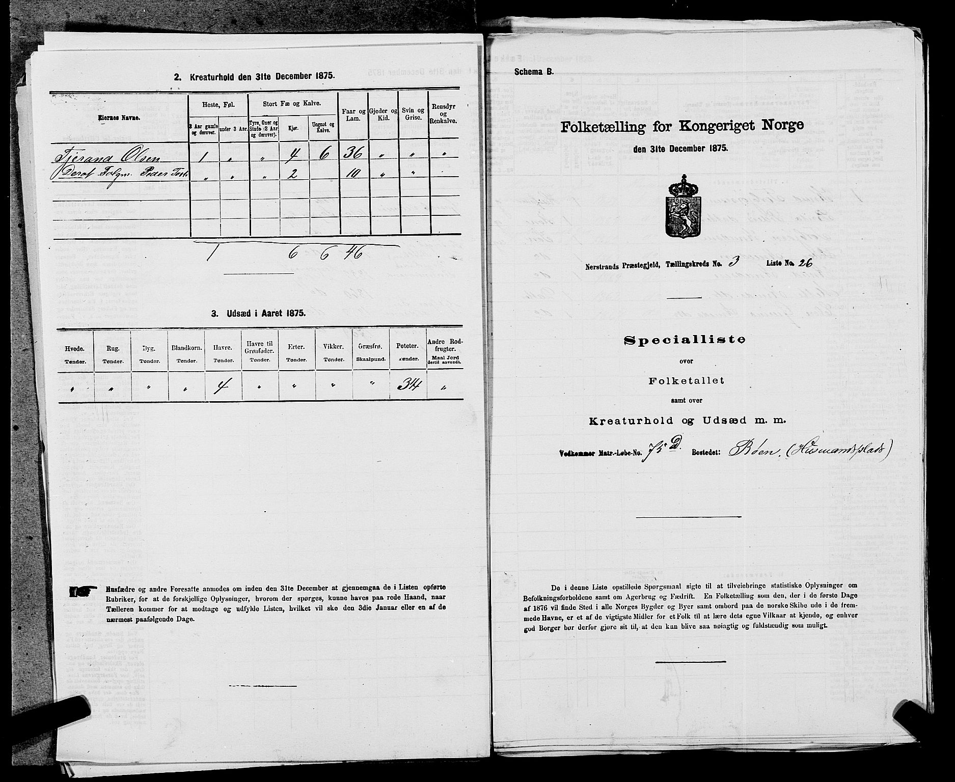 SAST, 1875 census for 1139P Nedstrand, 1875, p. 495