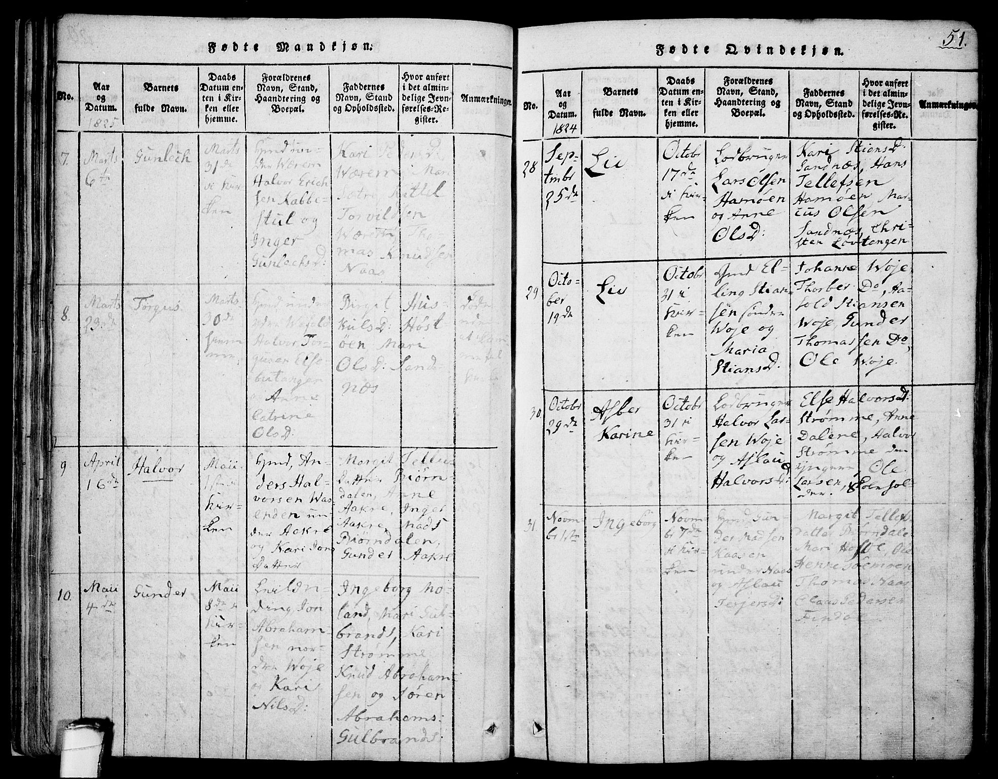 Drangedal kirkebøker, SAKO/A-258/F/Fa/L0005: Parish register (official) no. 5 /1, 1814-1831, p. 51
