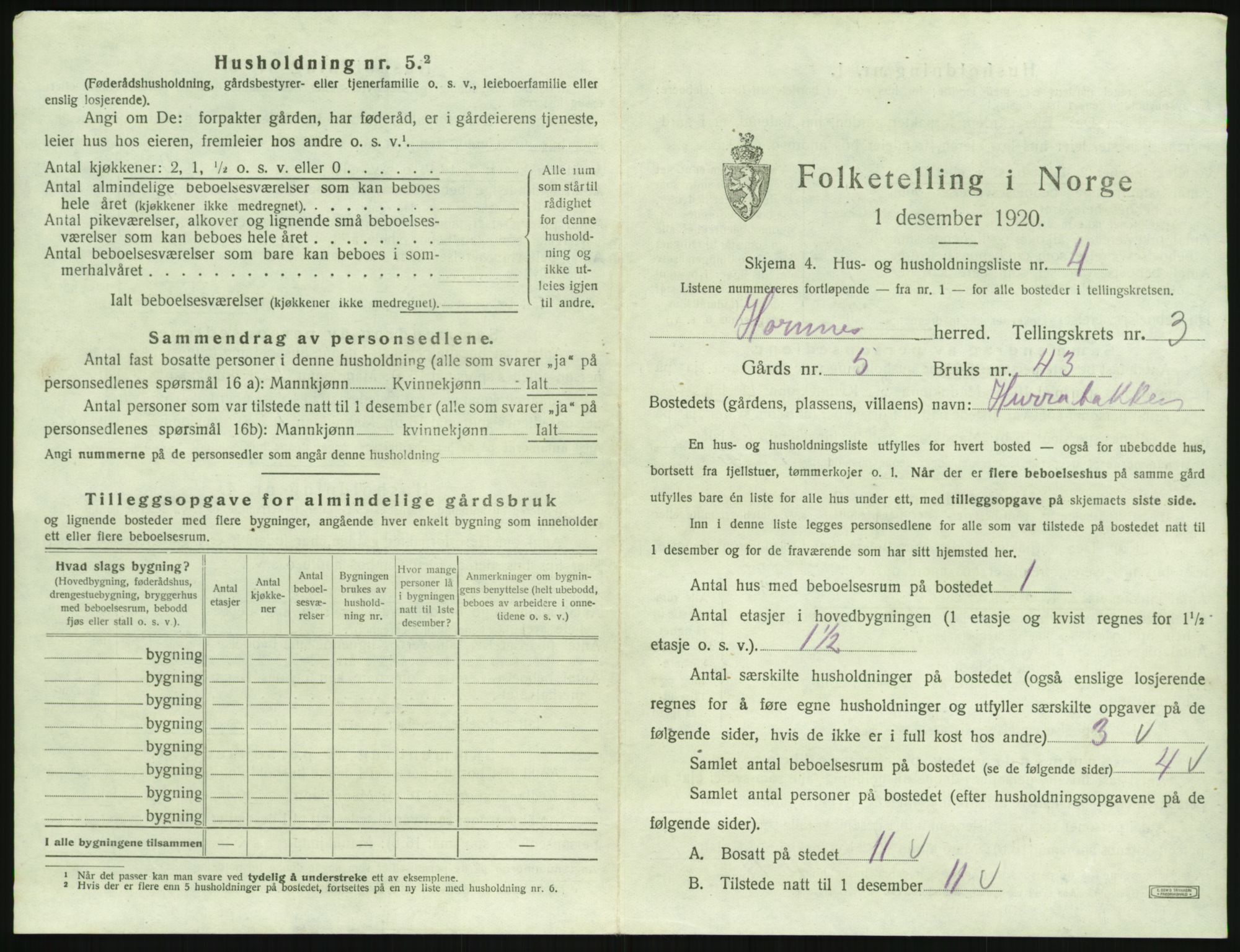 SAK, 1920 census for Hornnes, 1920, p. 123