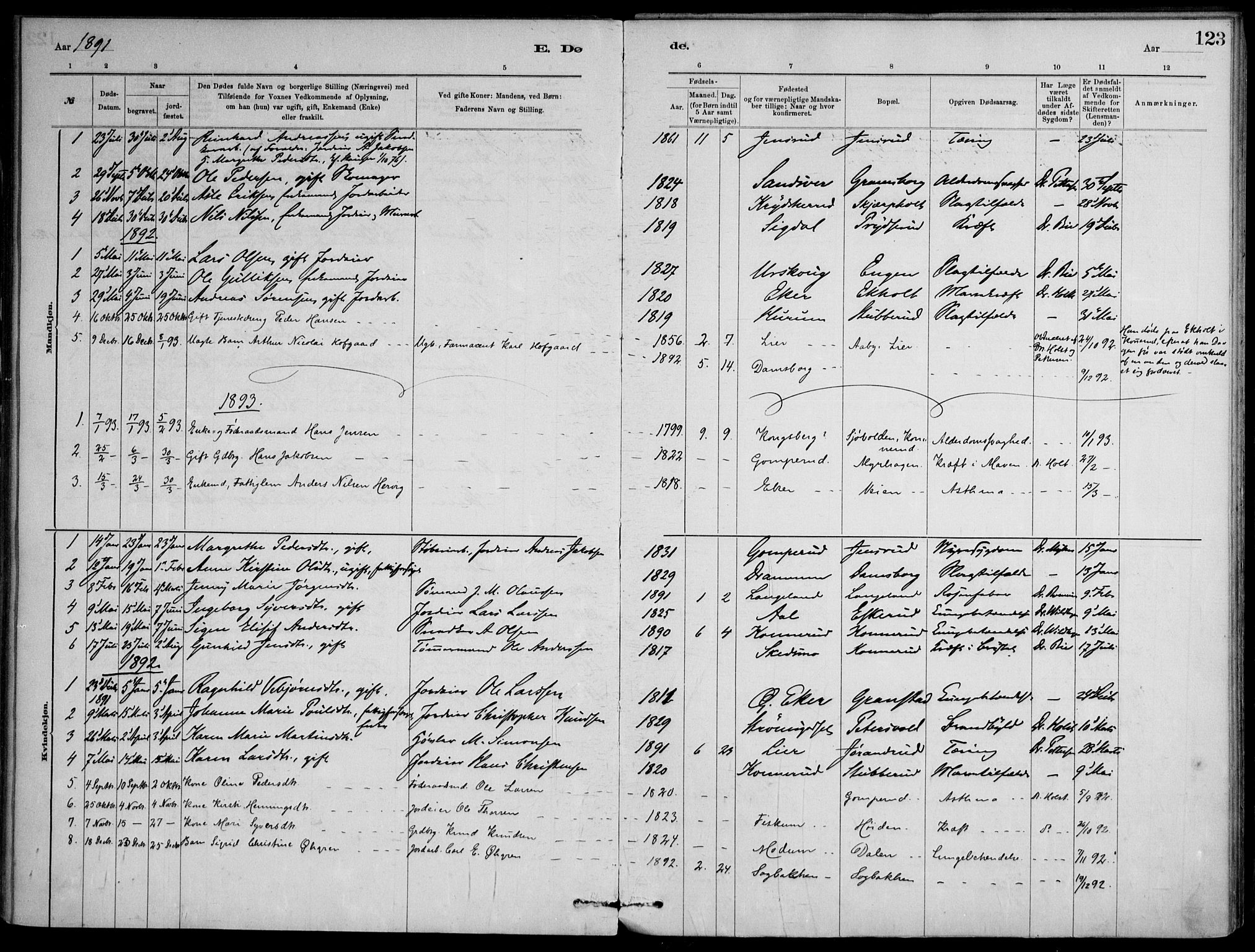 Skoger kirkebøker, AV/SAKO-A-59/F/Fb/L0001: Parish register (official) no. II 1, 1885-1913, p. 123