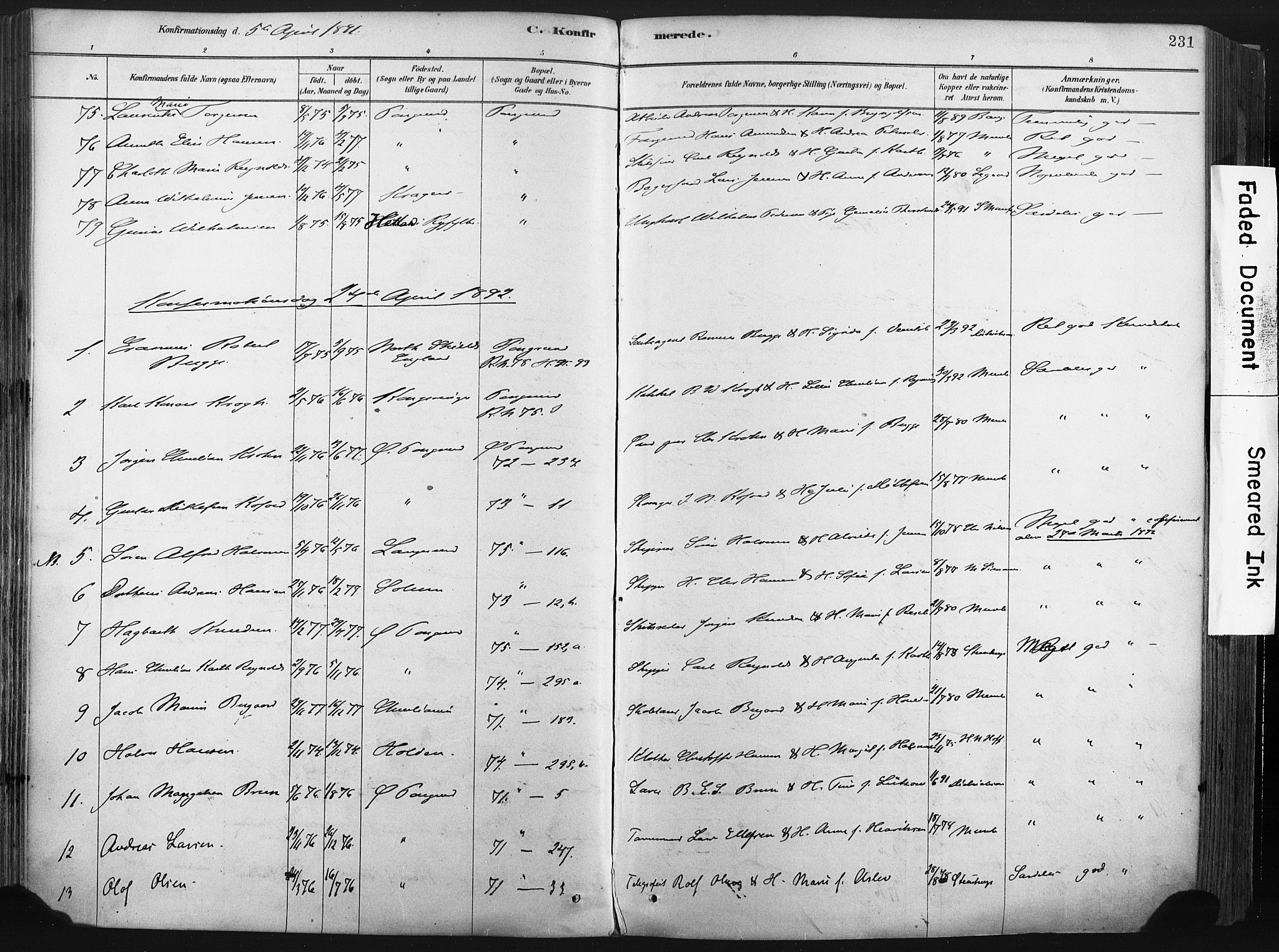 Porsgrunn kirkebøker , SAKO/A-104/F/Fa/L0008: Parish register (official) no. 8, 1878-1895, p. 231