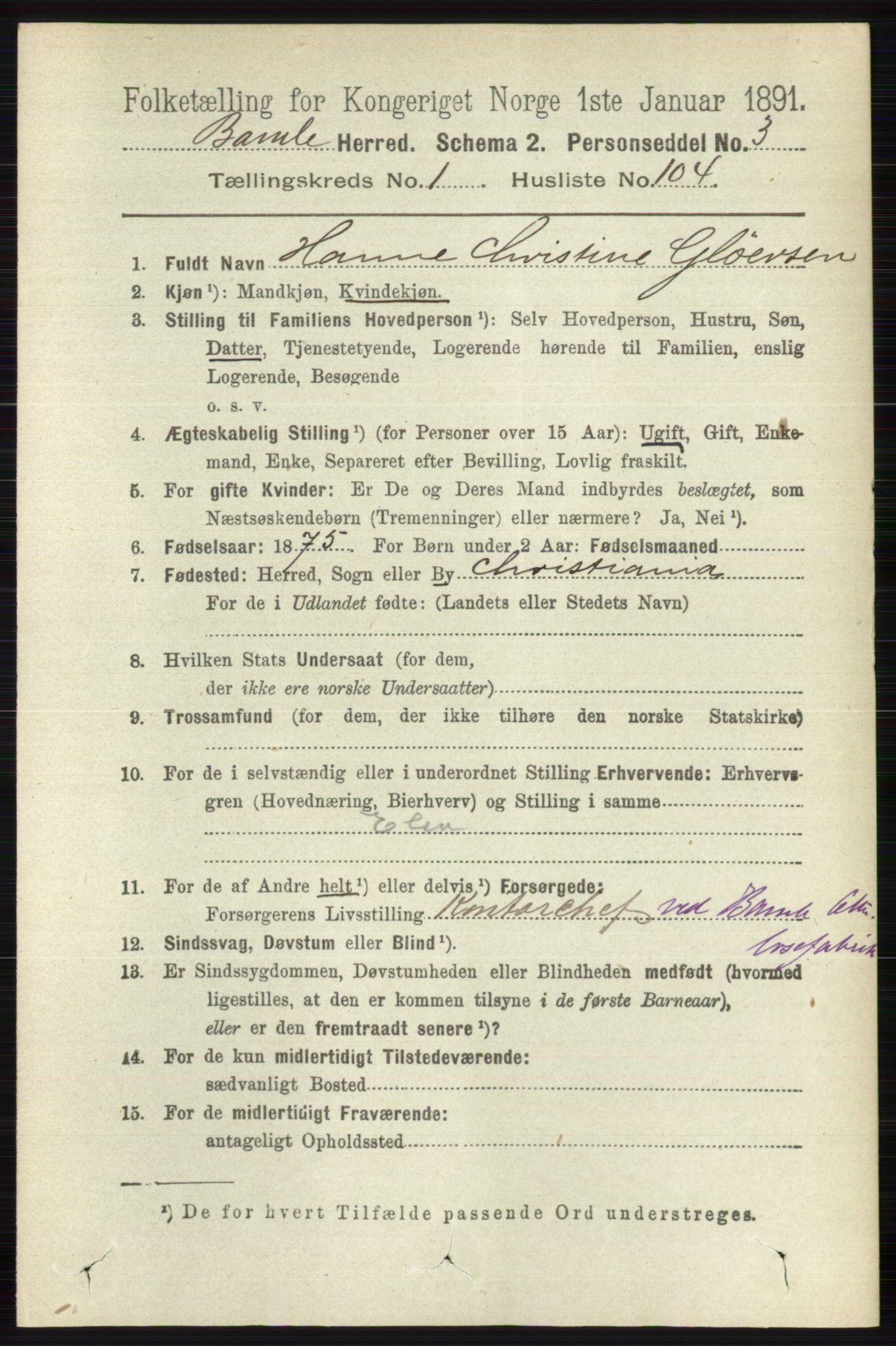 RA, 1891 census for 0814 Bamble, 1891, p. 925