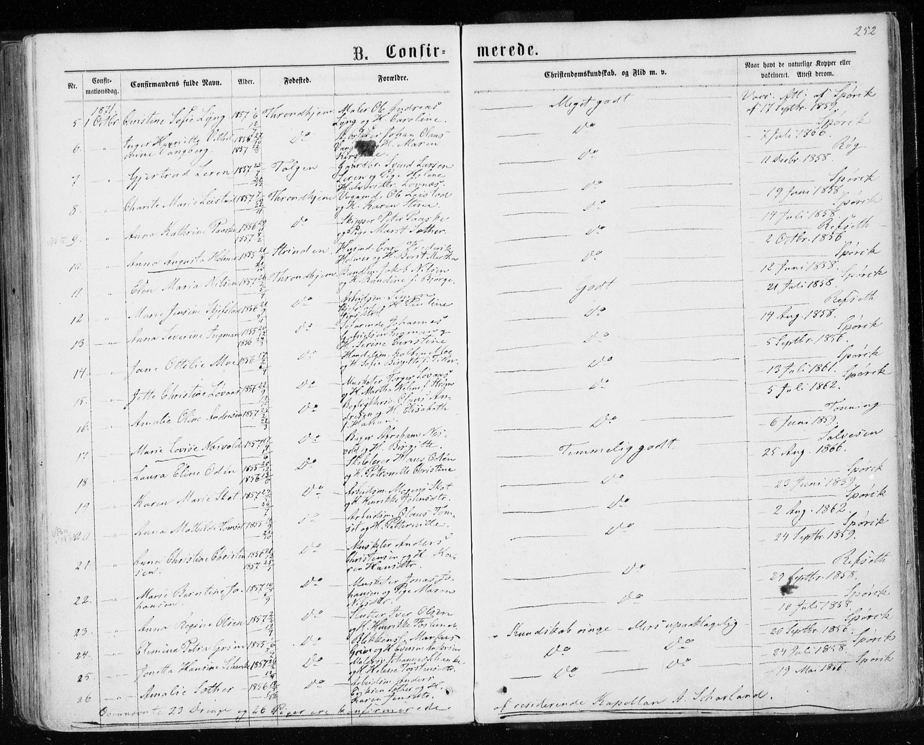 Ministerialprotokoller, klokkerbøker og fødselsregistre - Sør-Trøndelag, AV/SAT-A-1456/601/L0054: Parish register (official) no. 601A22, 1866-1877, p. 252