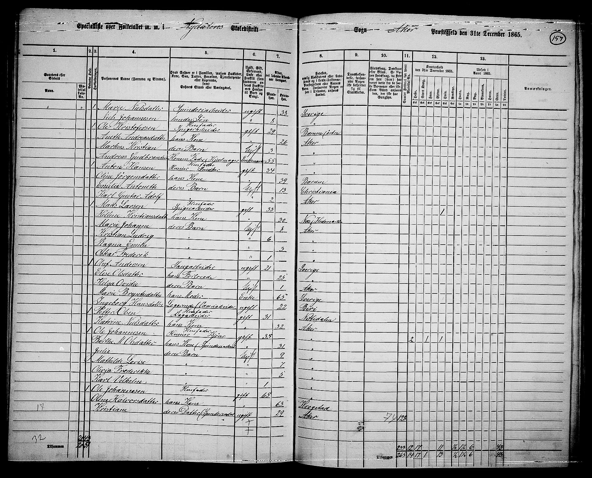 RA, 1865 census for Vestre Aker, 1865, p. 140