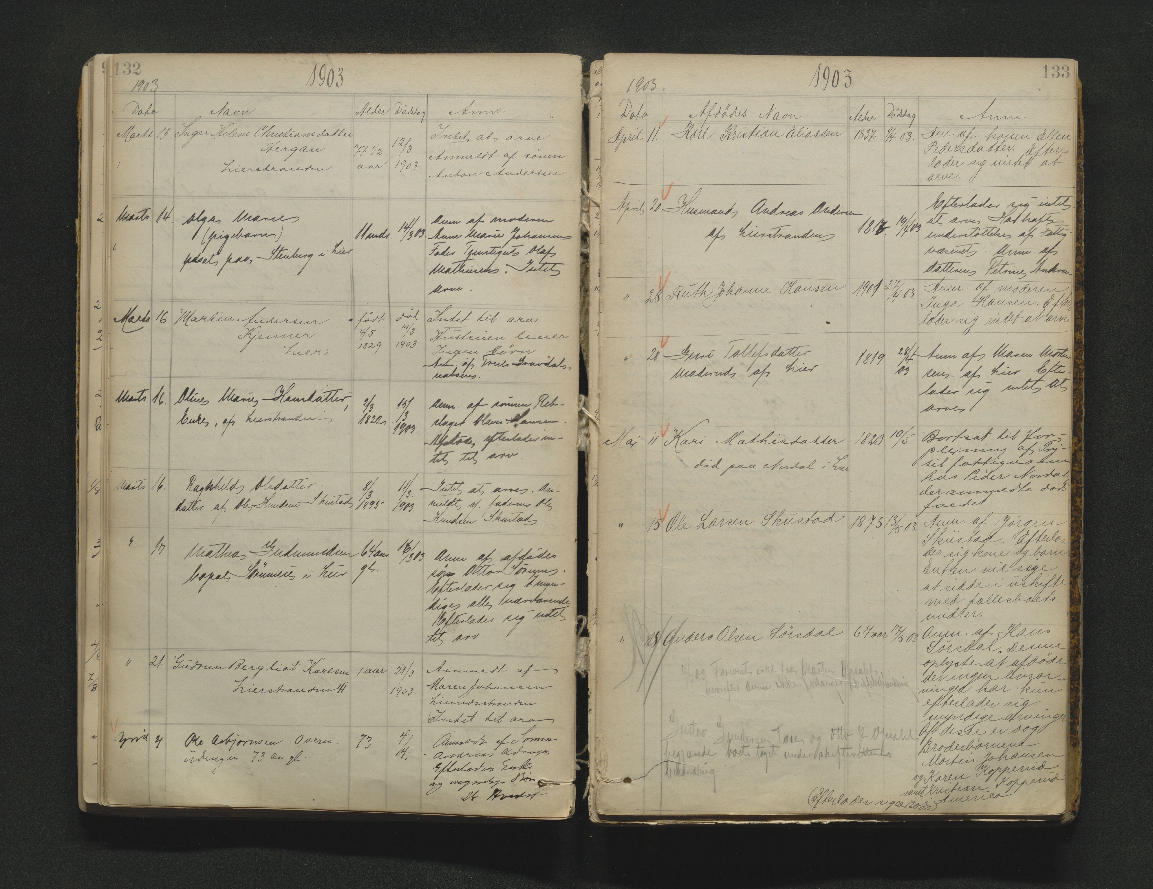 Lier, Røyken og Hurum sorenskriveri, AV/SAKO-A-89/H/Ha/L0001: Dødsfallsprotokoll 1, 1887-1913, p. 132-133