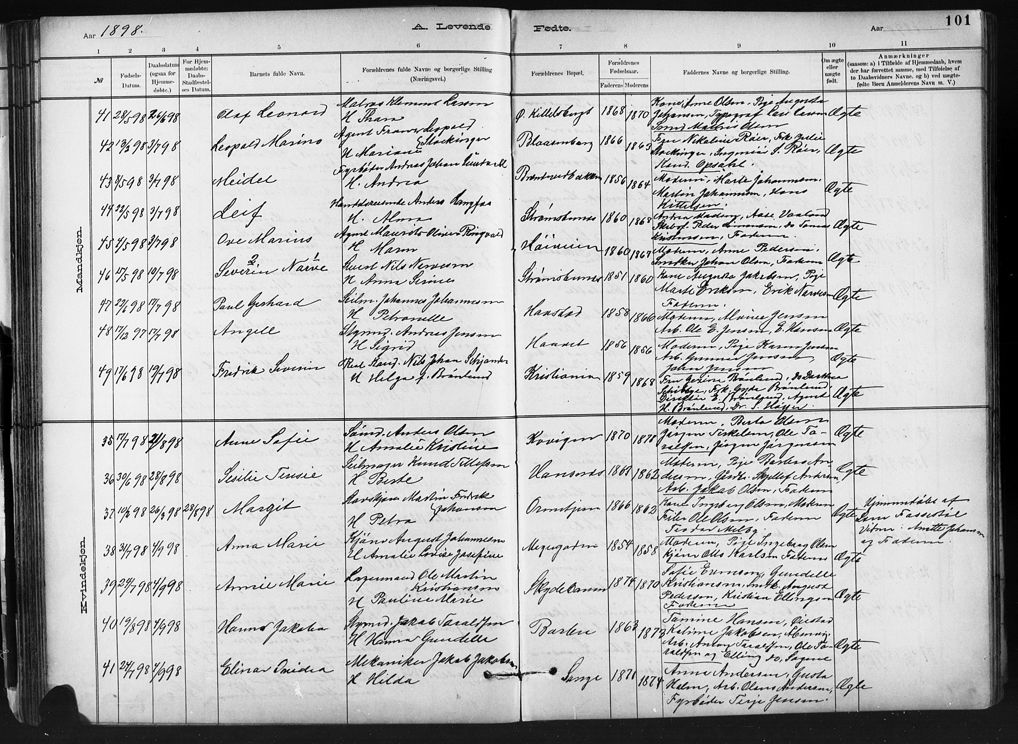 Barbu sokneprestkontor, AV/SAK-1111-0003/F/Fb/L0002: Parish register (copy) no. B 2, 1890-1922, p. 101