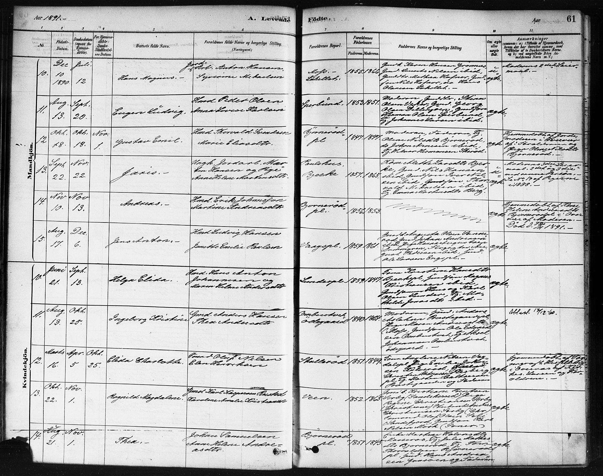 Våler prestekontor Kirkebøker, AV/SAO-A-11083/F/Fa/L0010: Parish register (official) no. I 10, 1878-1896, p. 61