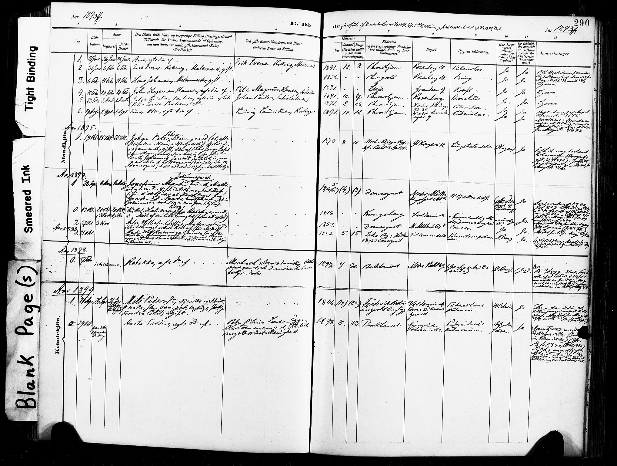 Ministerialprotokoller, klokkerbøker og fødselsregistre - Sør-Trøndelag, SAT/A-1456/604/L0198: Parish register (official) no. 604A19, 1893-1900, p. 290