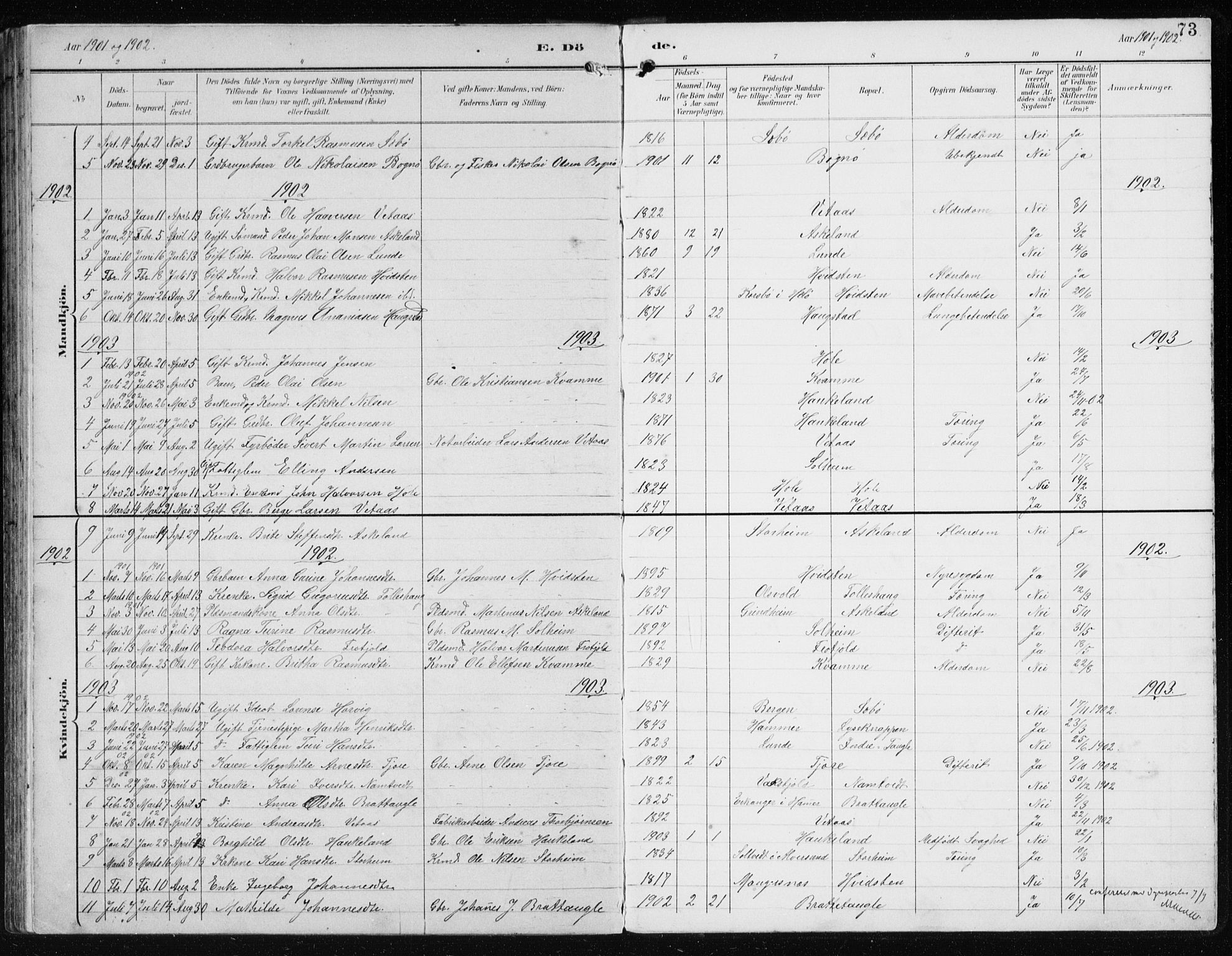 Manger sokneprestembete, AV/SAB-A-76801/H/Hab: Parish register (copy) no. D 3, 1895-1910, p. 73