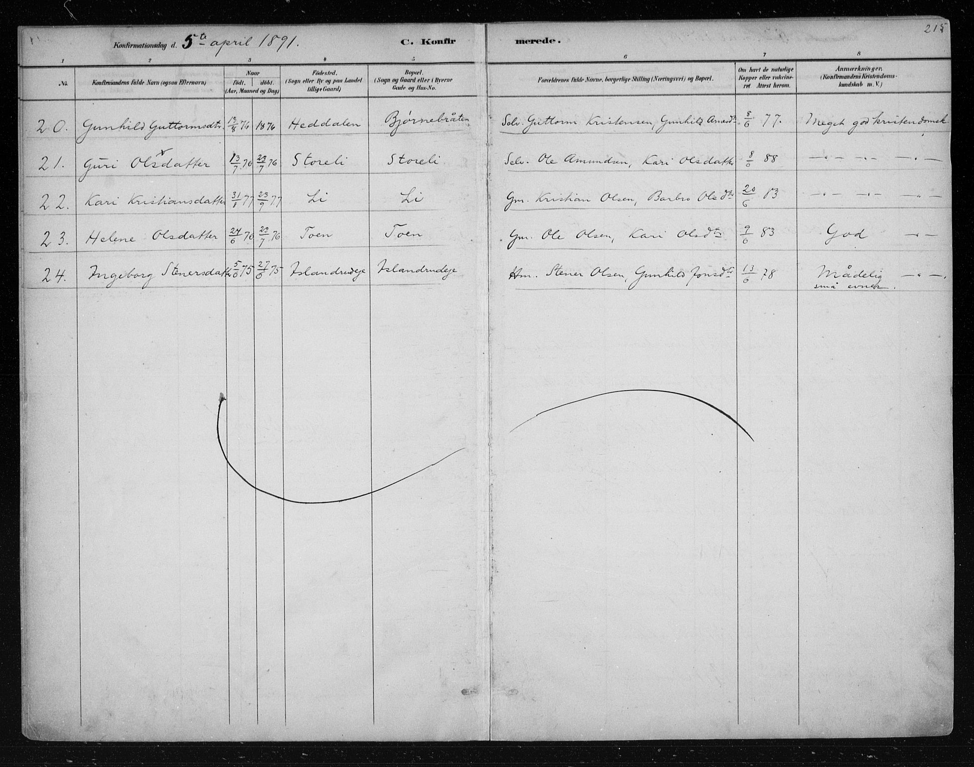 Nes kirkebøker, AV/SAKO-A-236/F/Fa/L0011: Parish register (official) no. 11, 1881-1912, p. 215