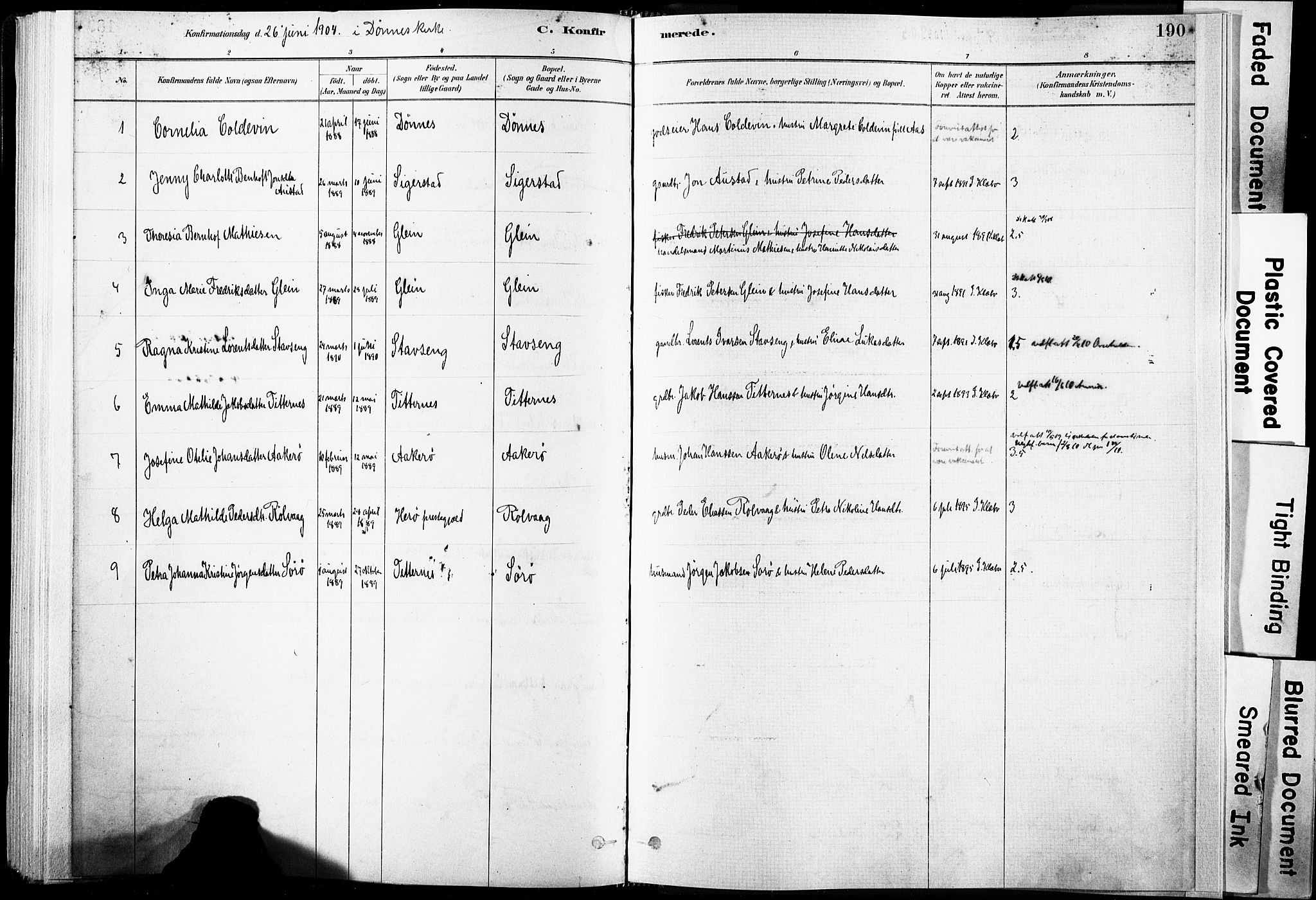 Ministerialprotokoller, klokkerbøker og fødselsregistre - Nordland, SAT/A-1459/835/L0525: Parish register (official) no. 835A03I, 1881-1910, p. 190