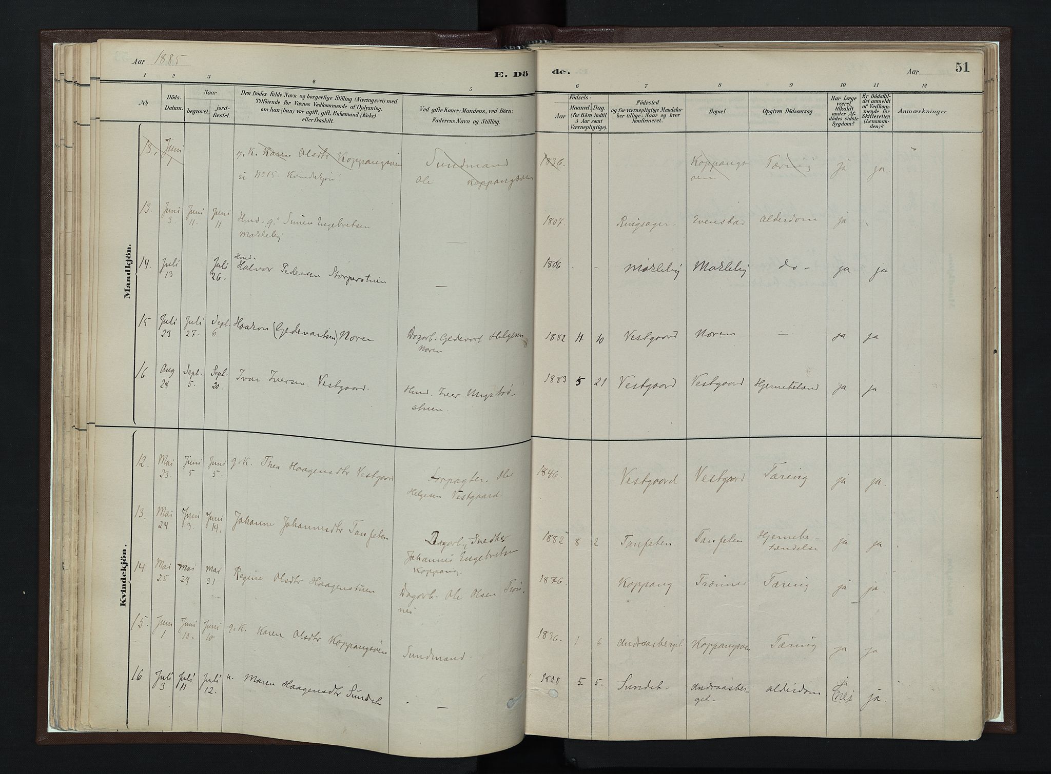 Stor-Elvdal prestekontor, AV/SAH-PREST-052/H/Ha/Haa/L0003: Parish register (official) no. 3, 1882-1901, p. 51