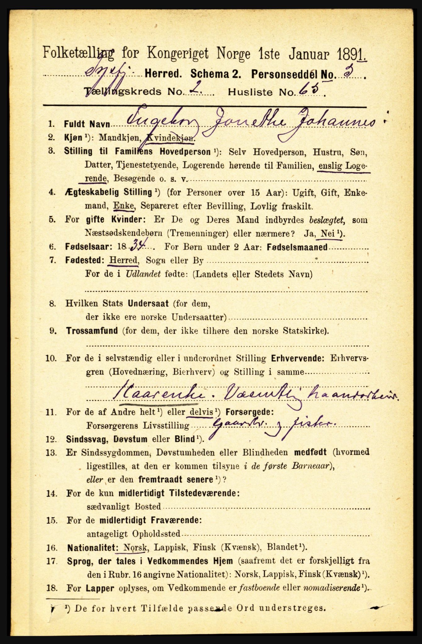 RA, 1891 census for 1850 Tysfjord, 1891, p. 999