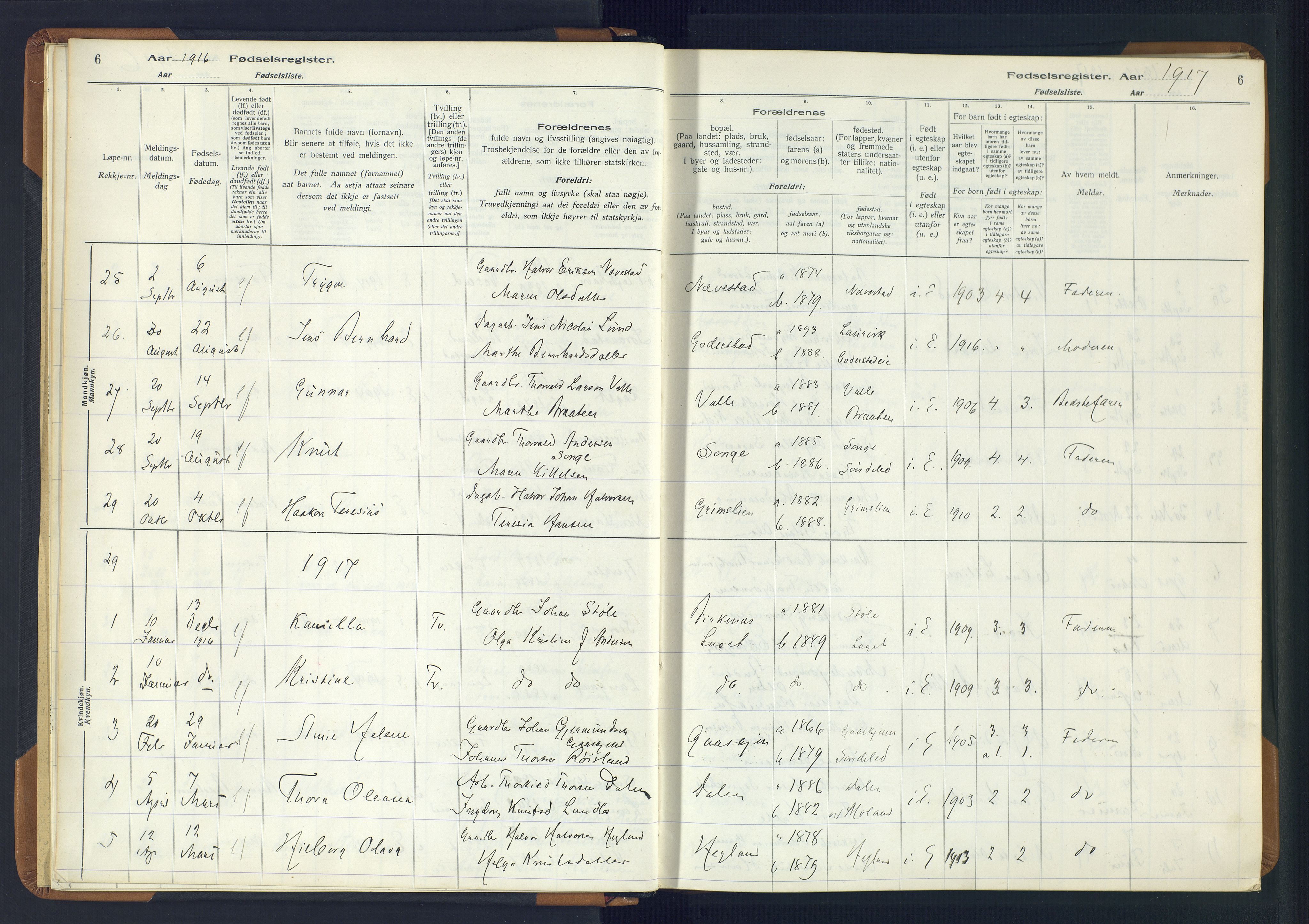 Holt sokneprestkontor, AV/SAK-1111-0021/J/Ja/L0001: Birth register no. II.4.1, 1916-1946, p. 6