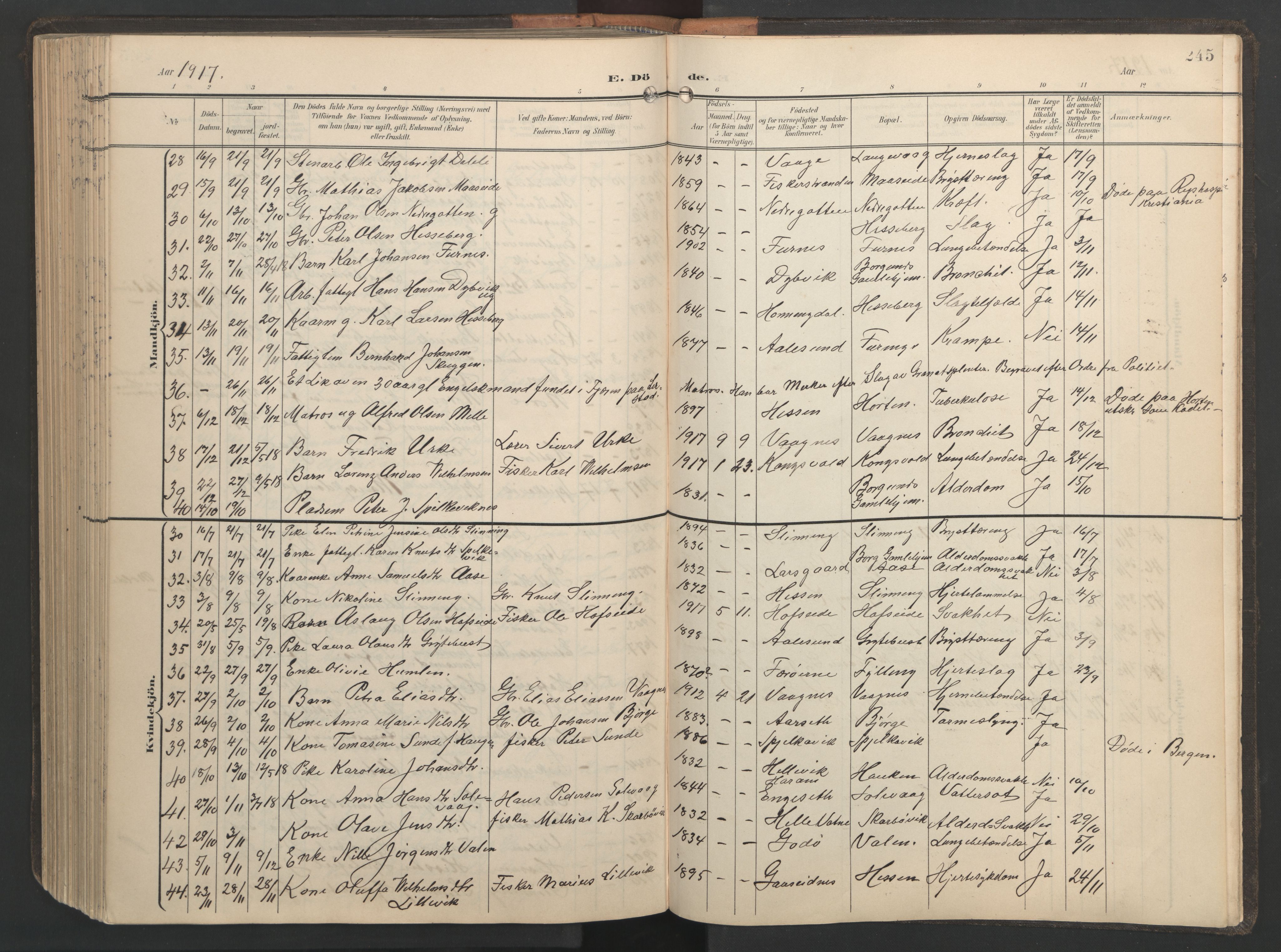 Ministerialprotokoller, klokkerbøker og fødselsregistre - Møre og Romsdal, AV/SAT-A-1454/528/L0433: Parish register (copy) no. 528C14, 1899-1922, p. 245