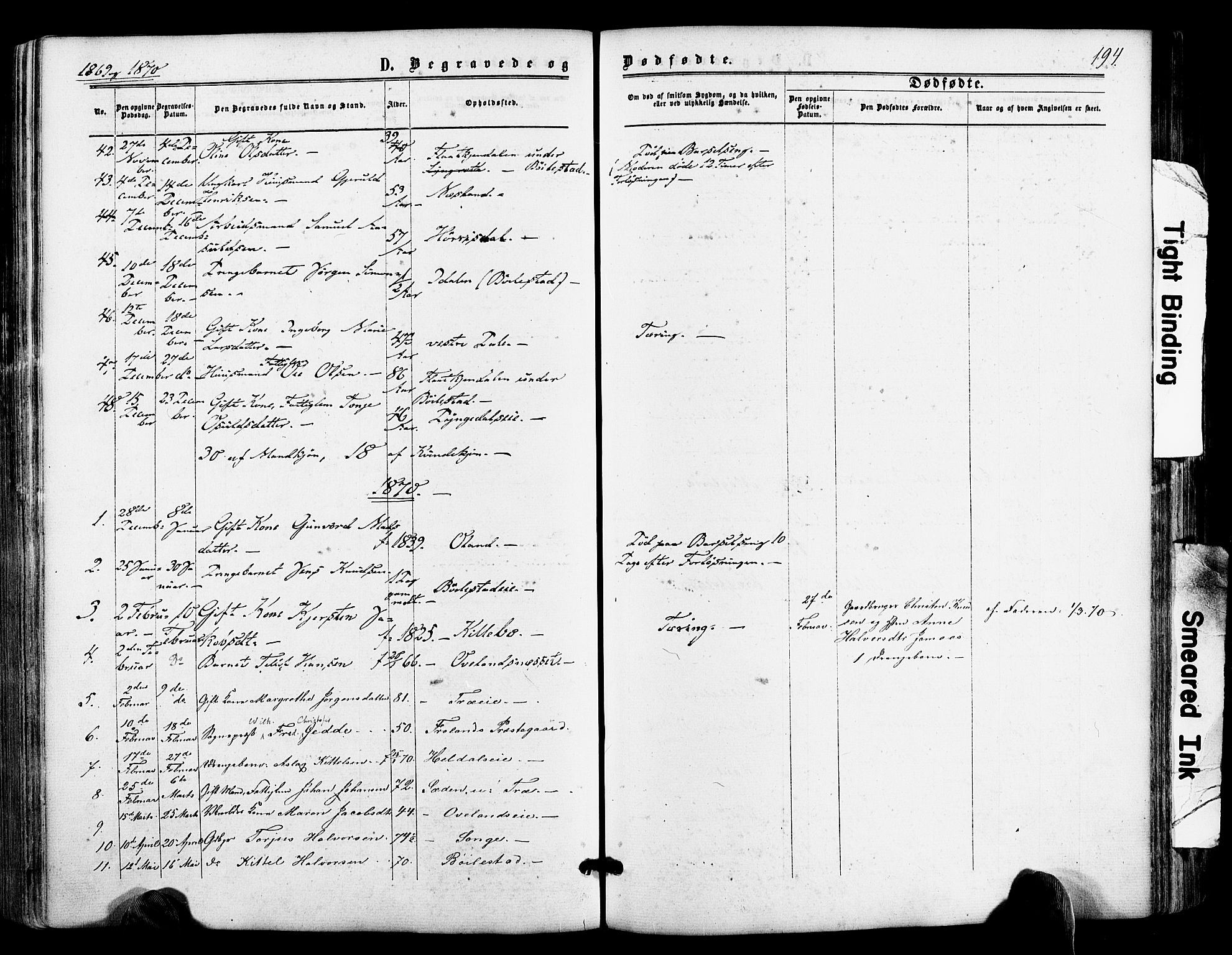 Froland sokneprestkontor, AV/SAK-1111-0013/F/Fa/L0003: Parish register (official) no. A 3, 1864-1881, p. 194