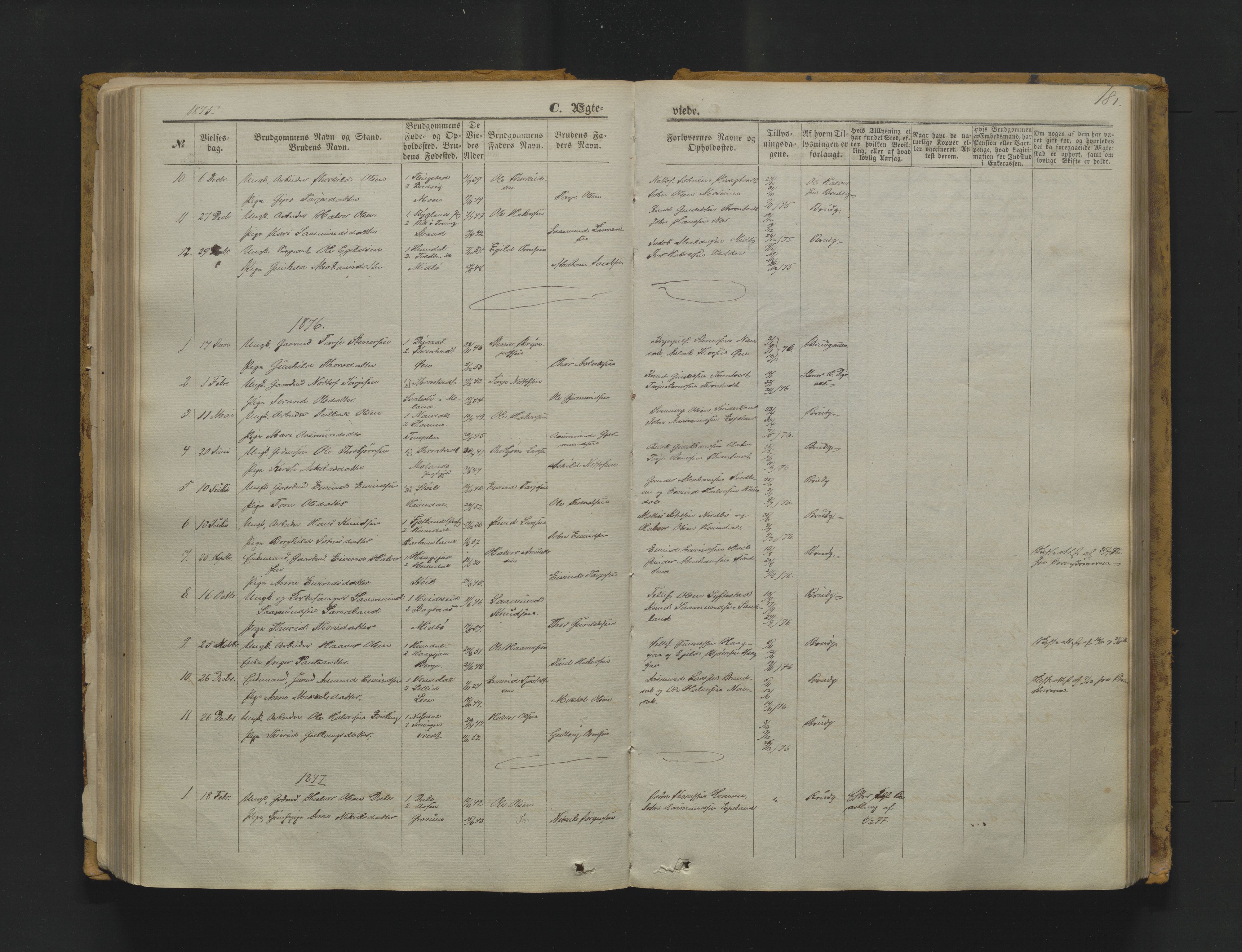 Nissedal kirkebøker, AV/SAKO-A-288/F/Fa/L0004: Parish register (official) no. I 4, 1871-1886, p. 181