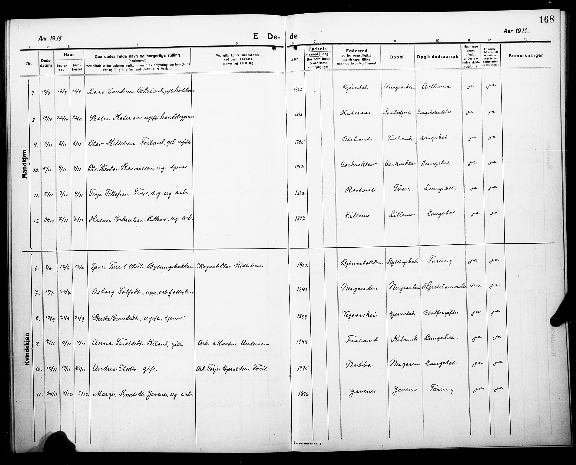 Åmli sokneprestkontor, AV/SAK-1111-0050/F/Fb/Fbc/L0006: Parish register (copy) no. B 6, 1915-1929, p. 168