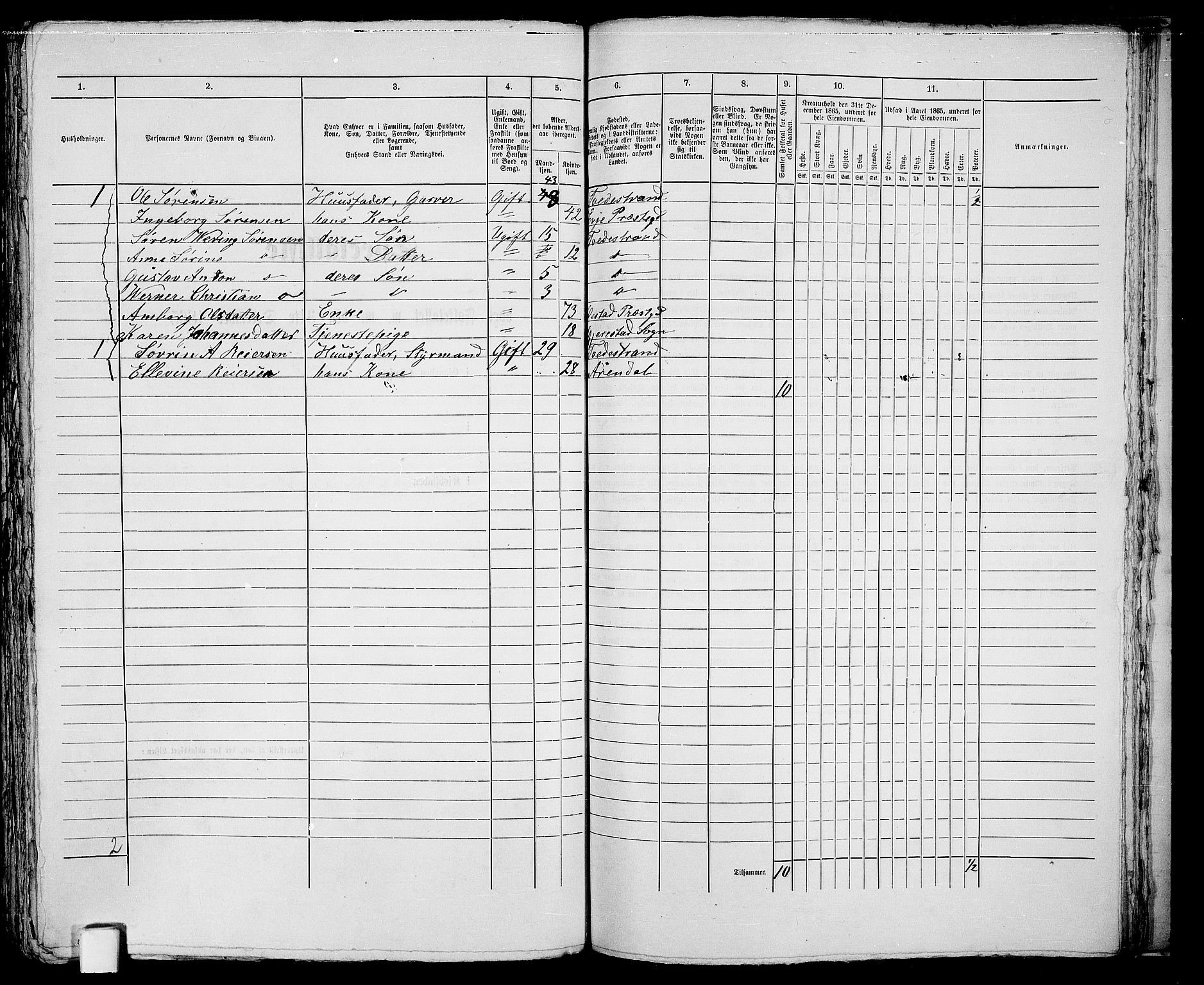 RA, 1865 census for Holt/Tvedestrand, 1865, p. 295