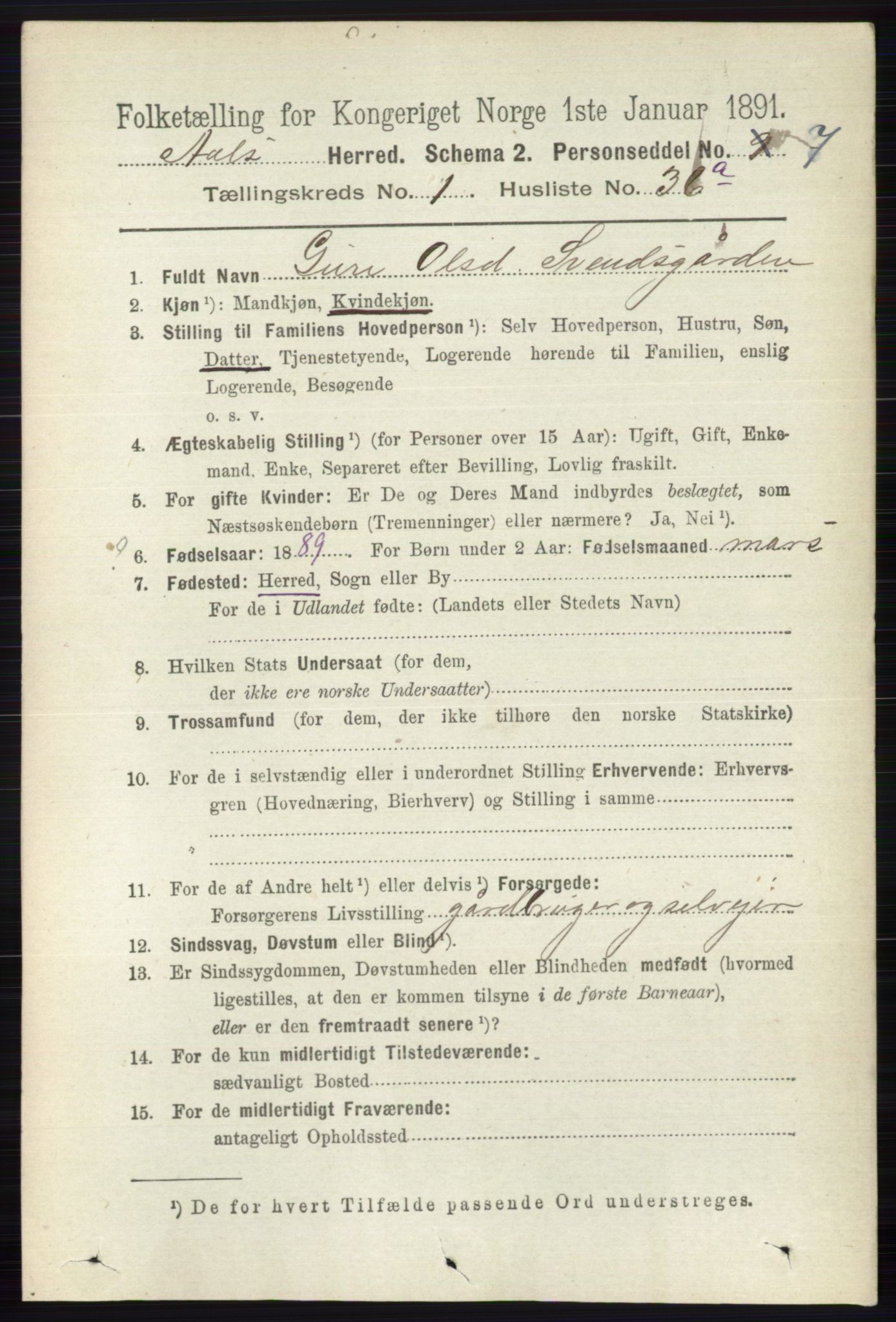 RA, 1891 census for 0619 Ål, 1891, p. 251