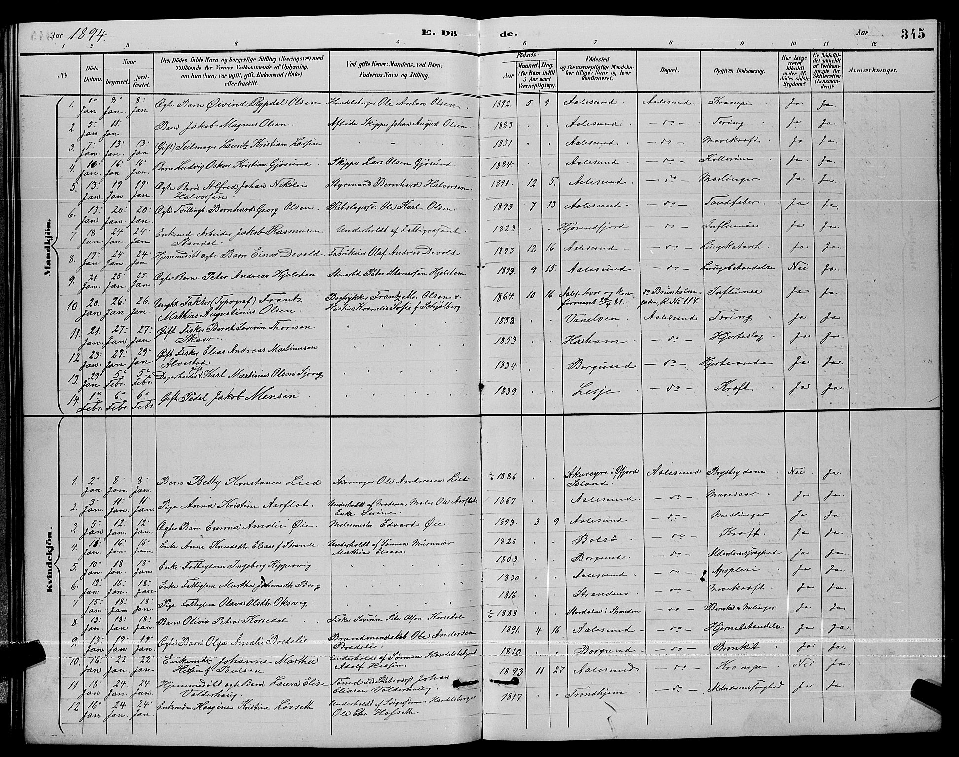 Ministerialprotokoller, klokkerbøker og fødselsregistre - Møre og Romsdal, AV/SAT-A-1454/529/L0467: Parish register (copy) no. 529C04, 1889-1897, p. 345